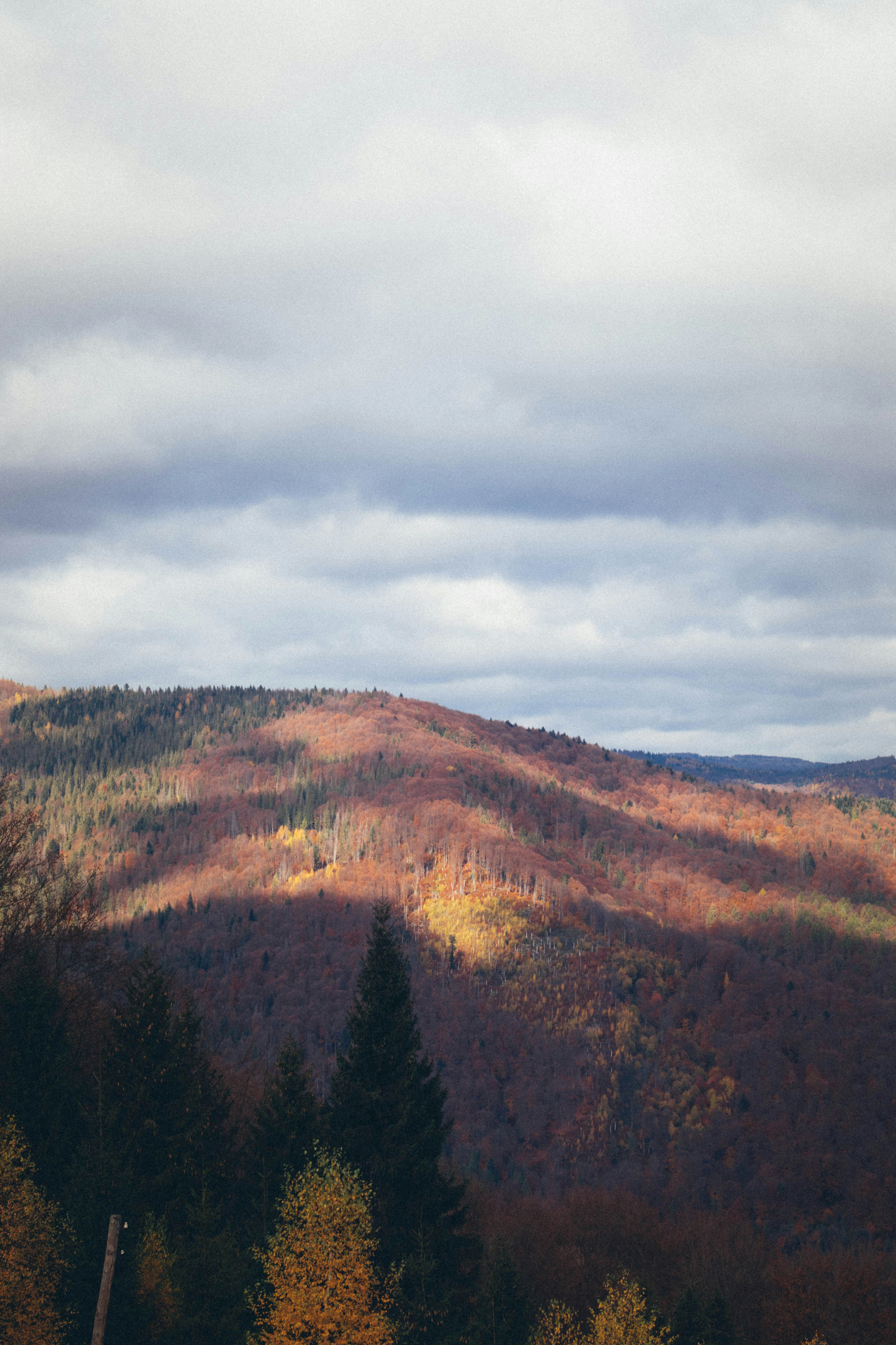 Photo by taraschuiko