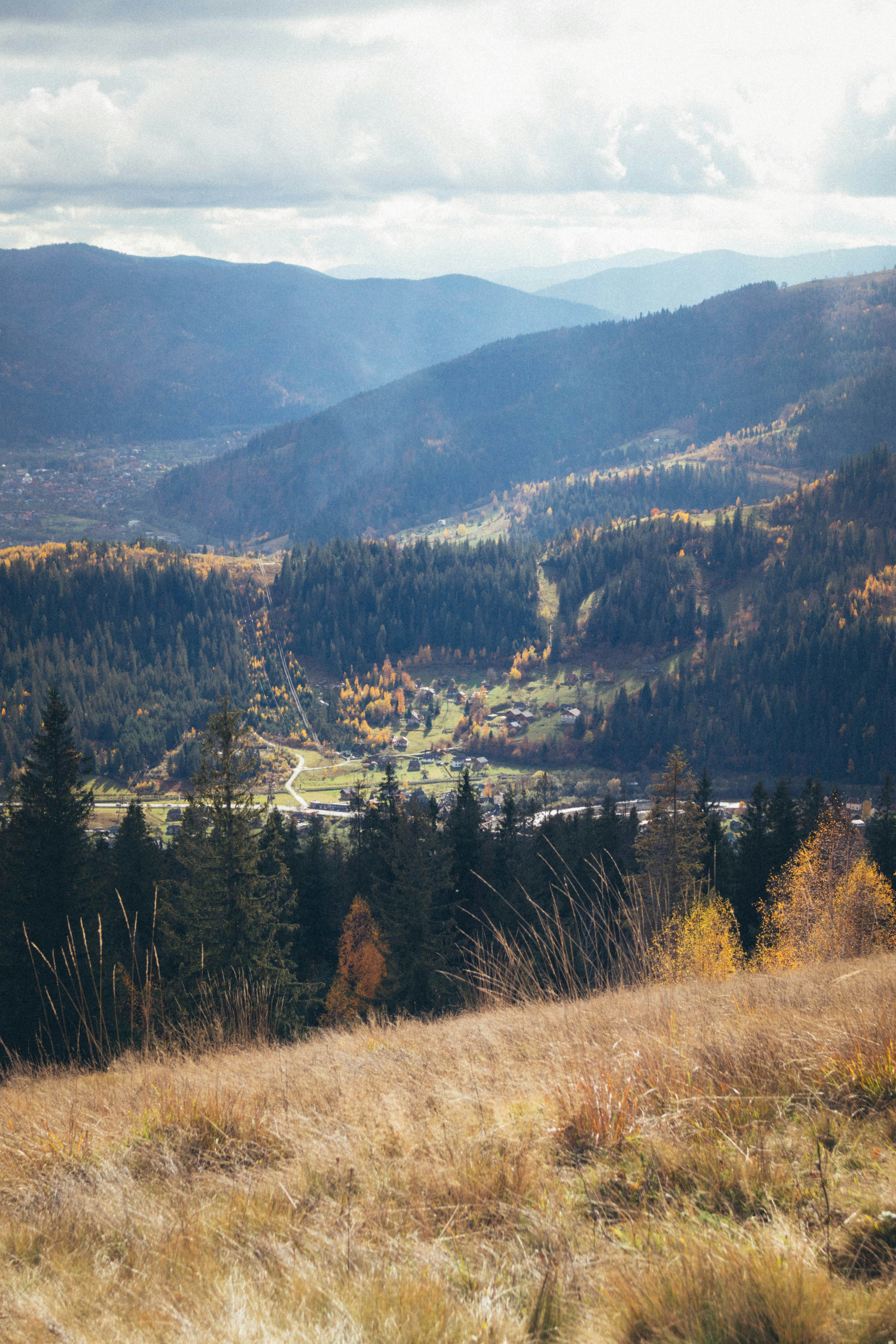 Photo by taraschuiko