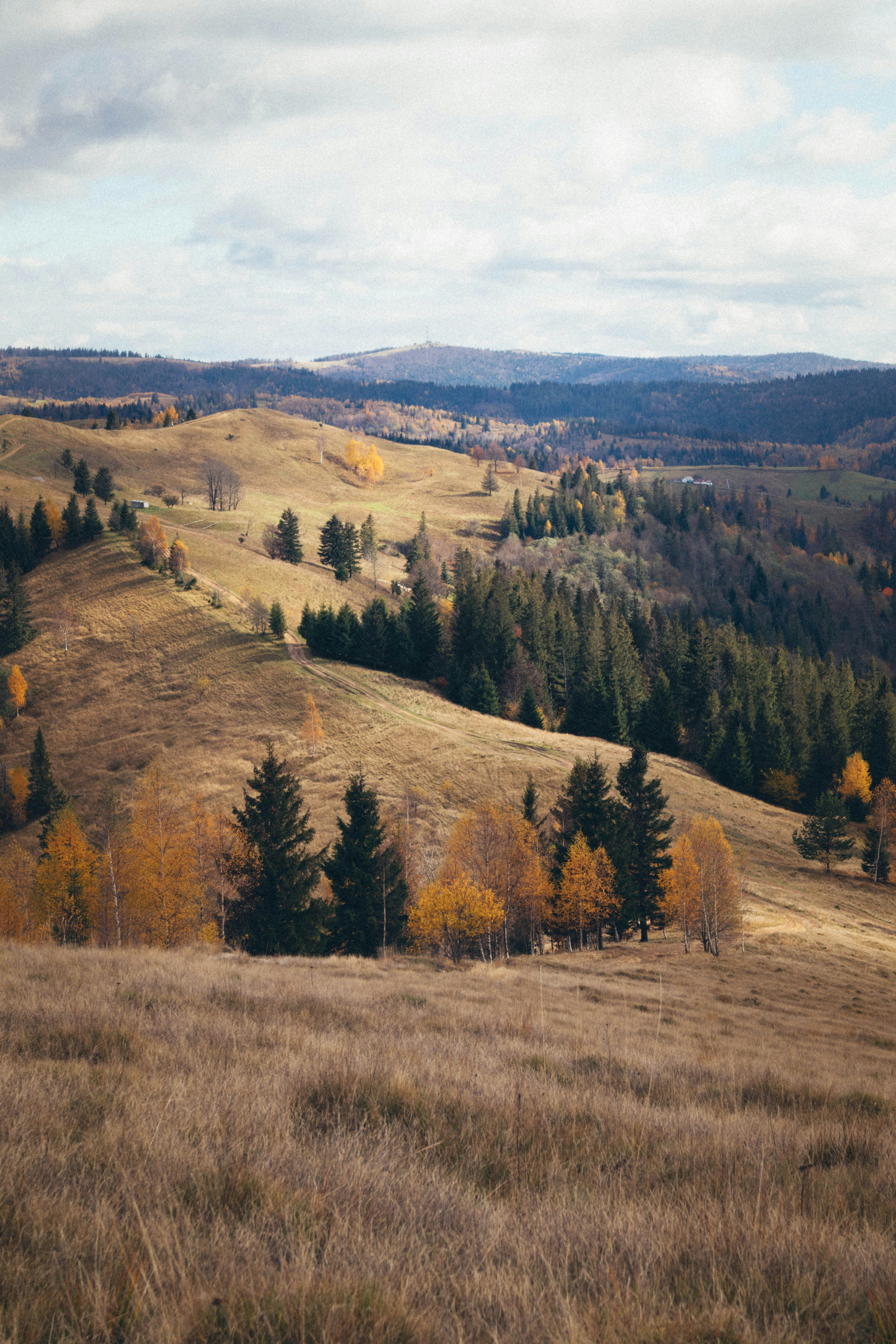 Photo by taraschuiko