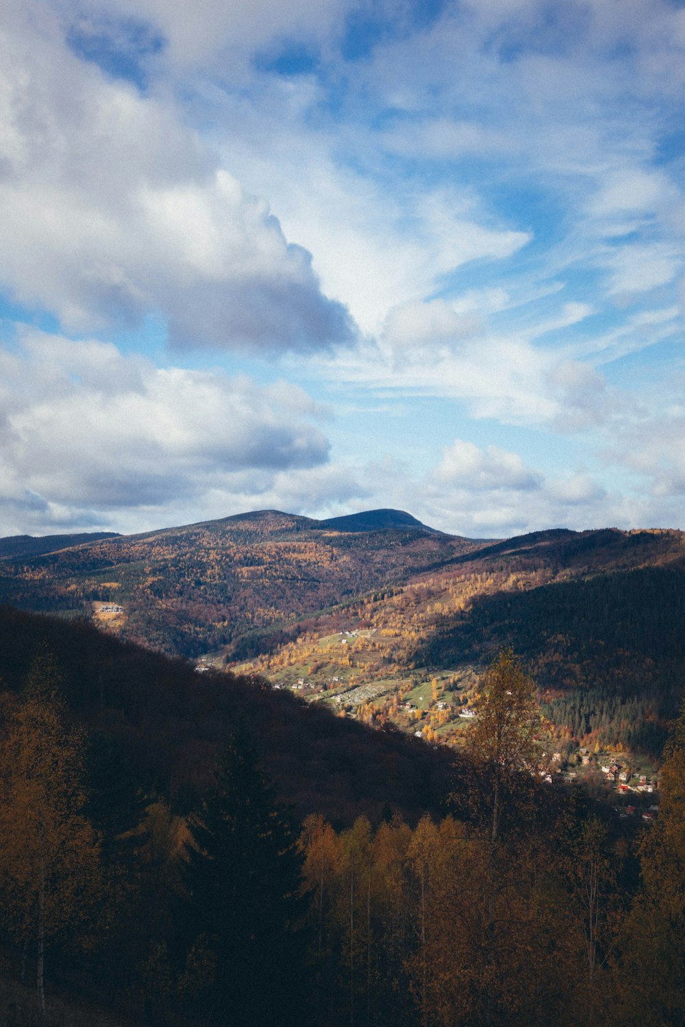 a landscape with trees and mountains