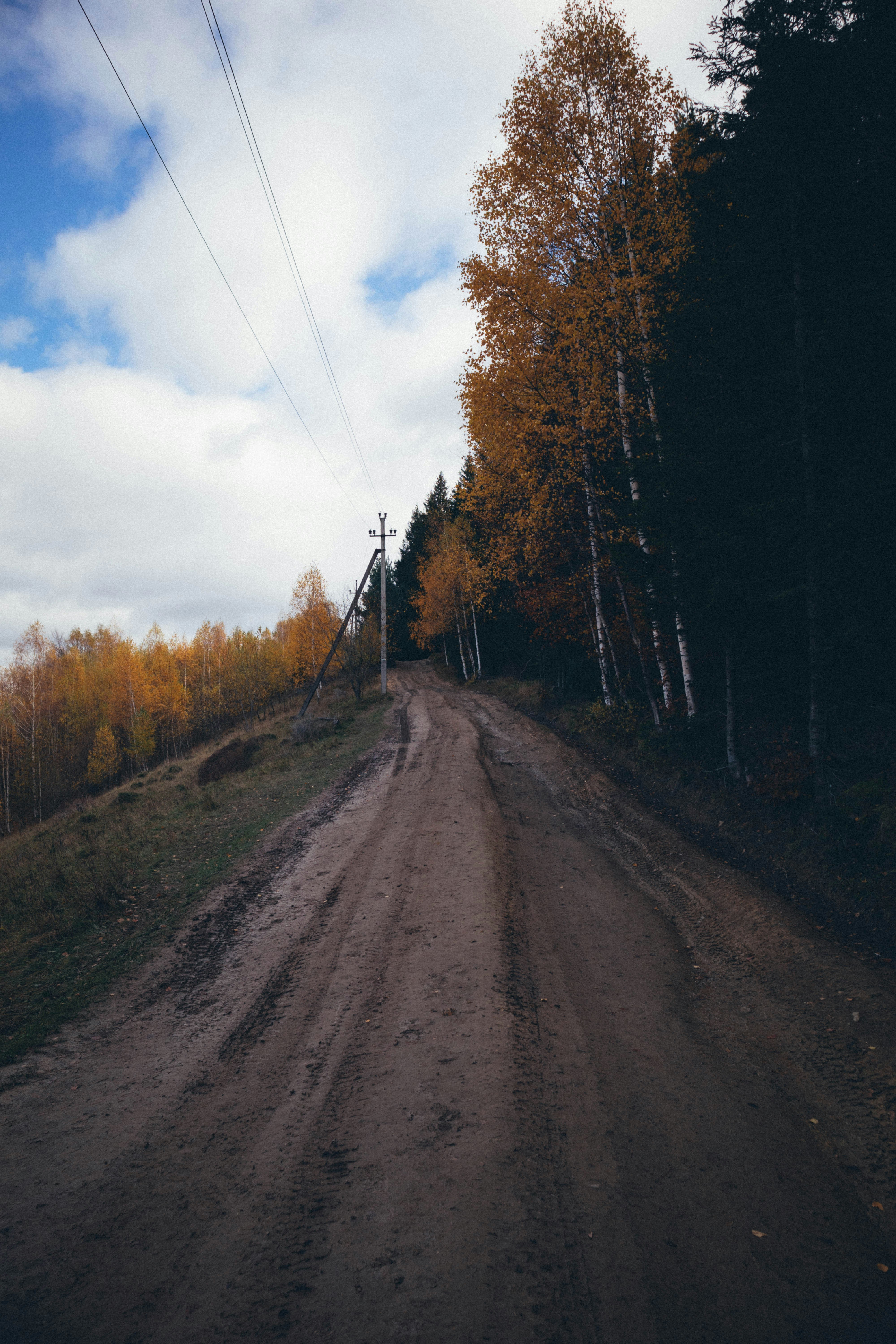 Photo by taraschuiko