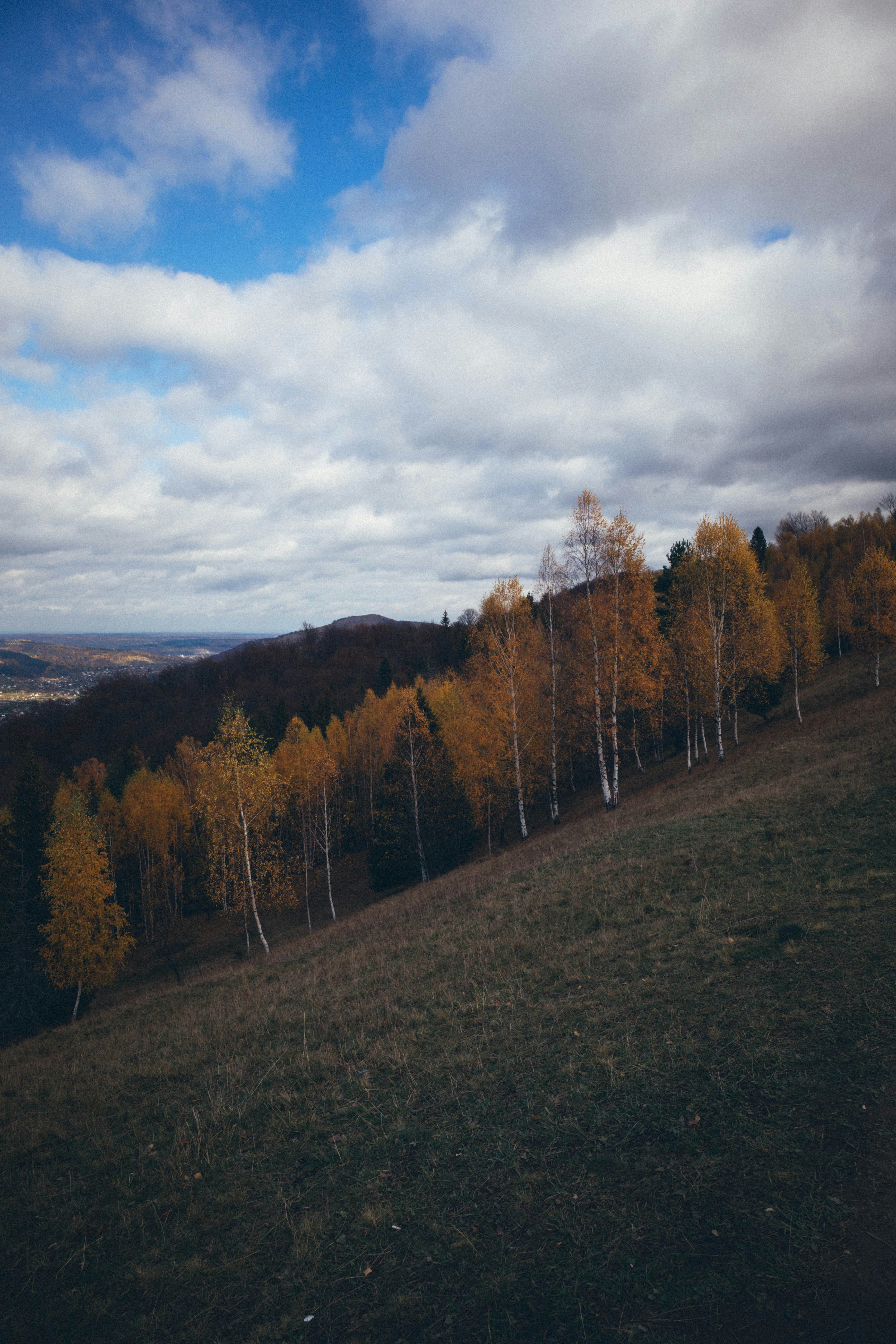 Photo by taraschuiko