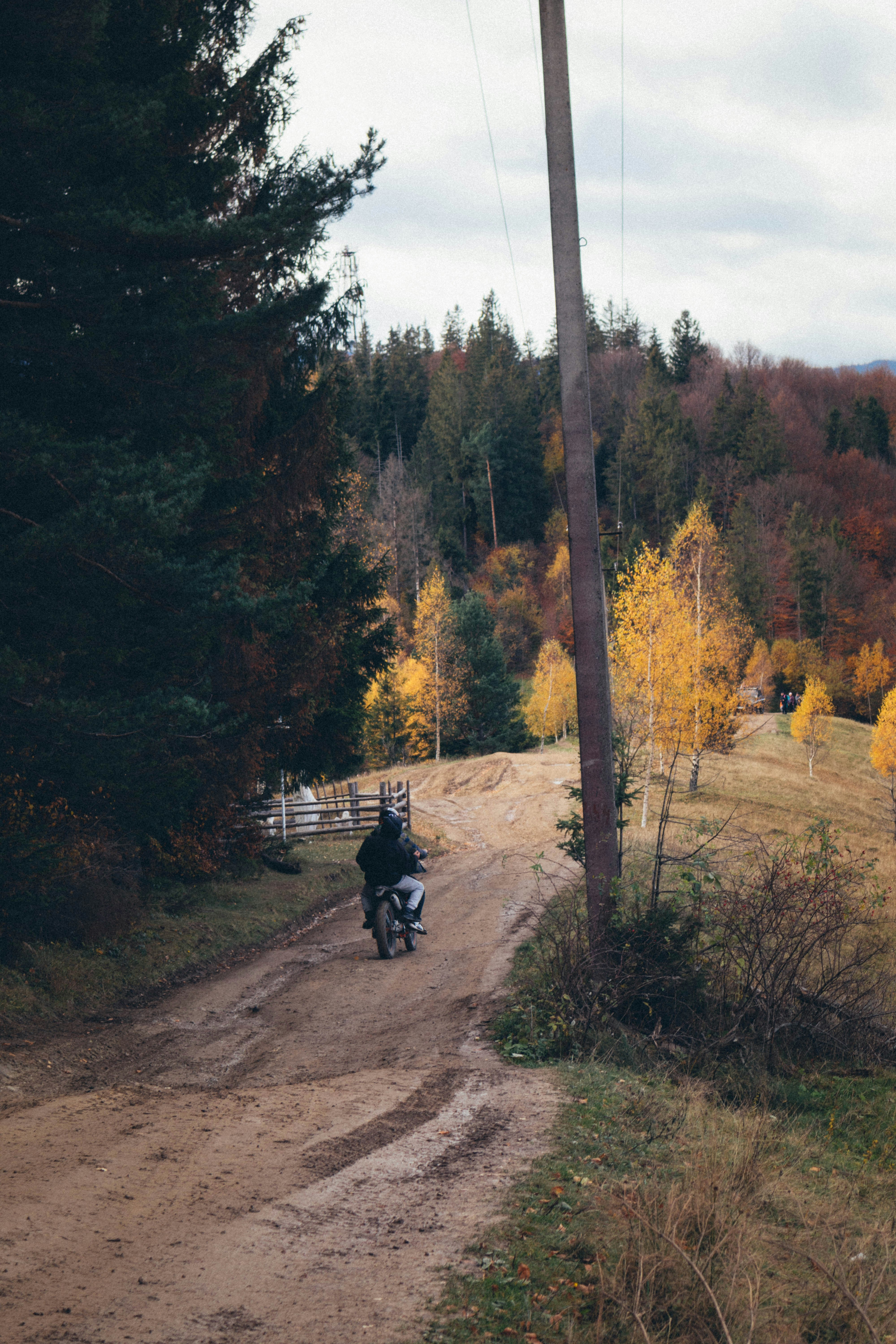 Photo by taraschuiko