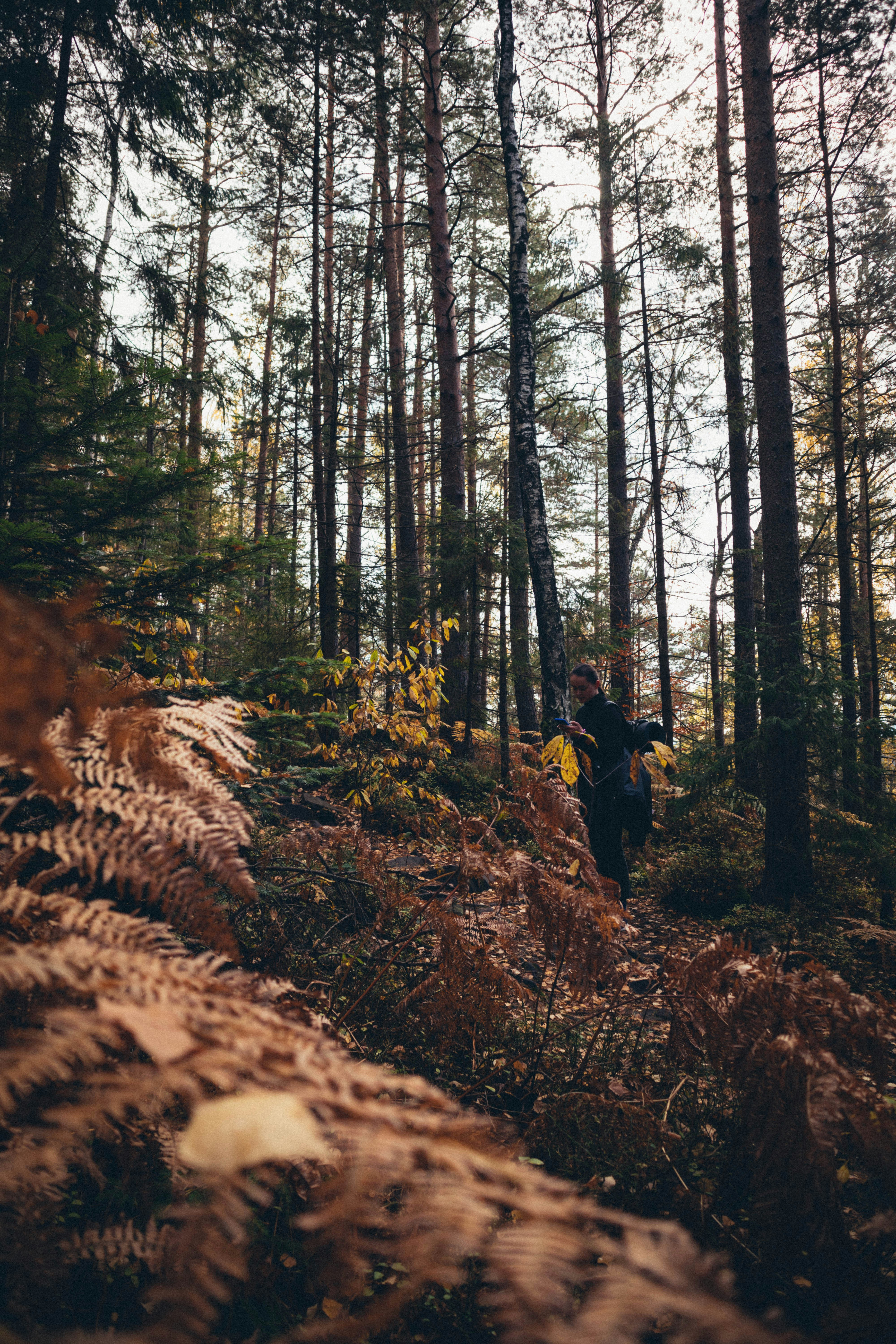 Photo by taraschuiko