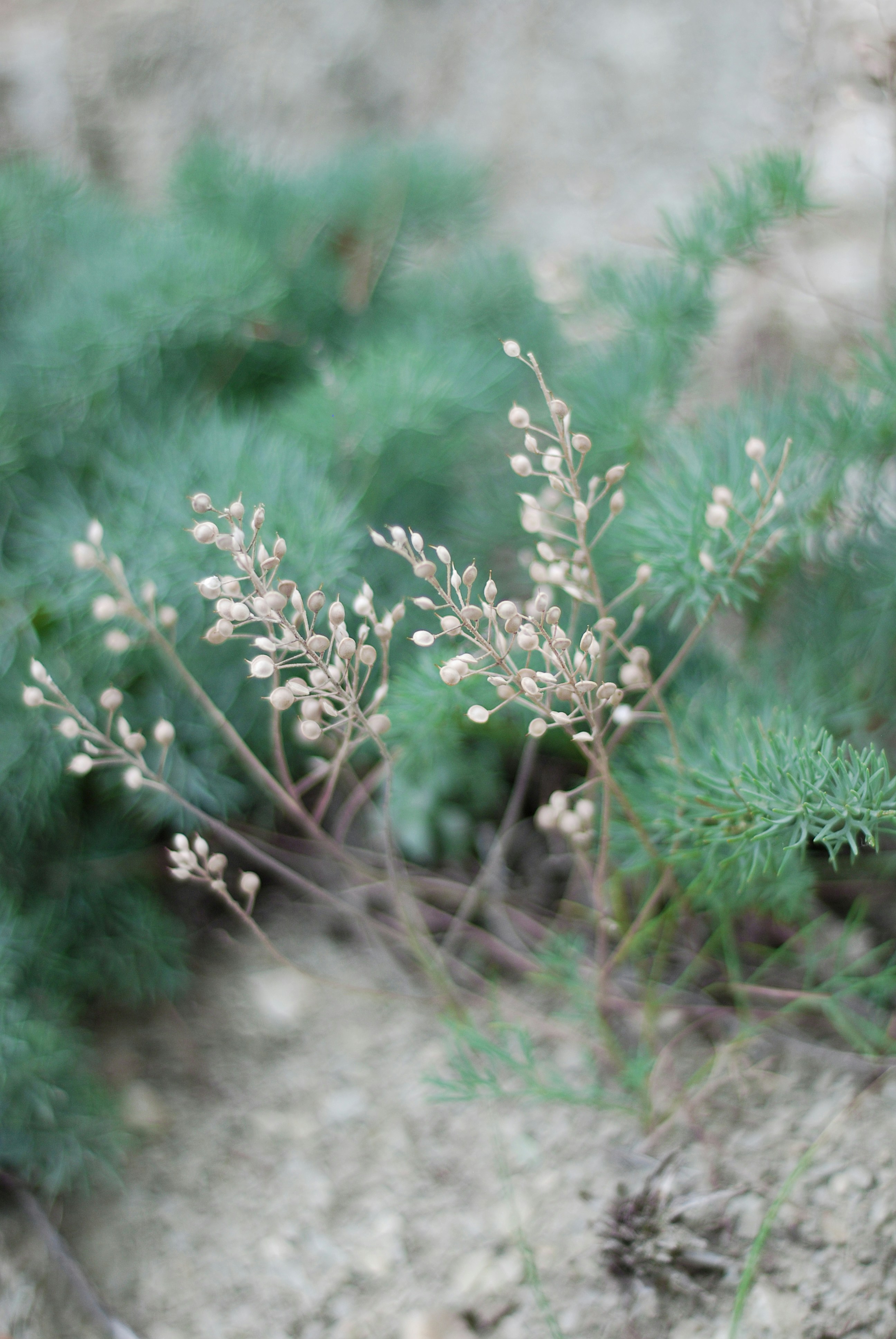 Photo by kovalskihelga