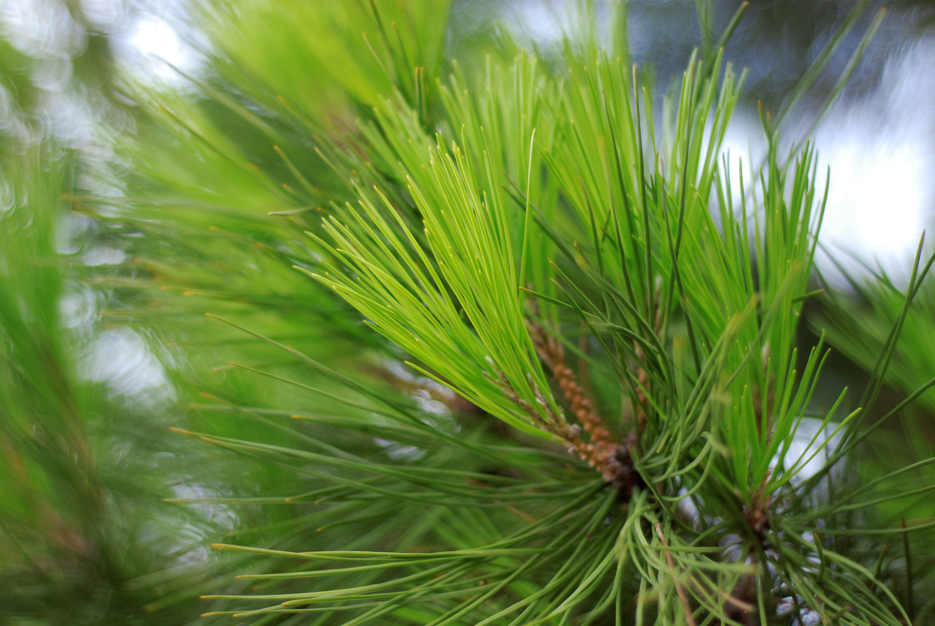 Photo by kovalskihelga