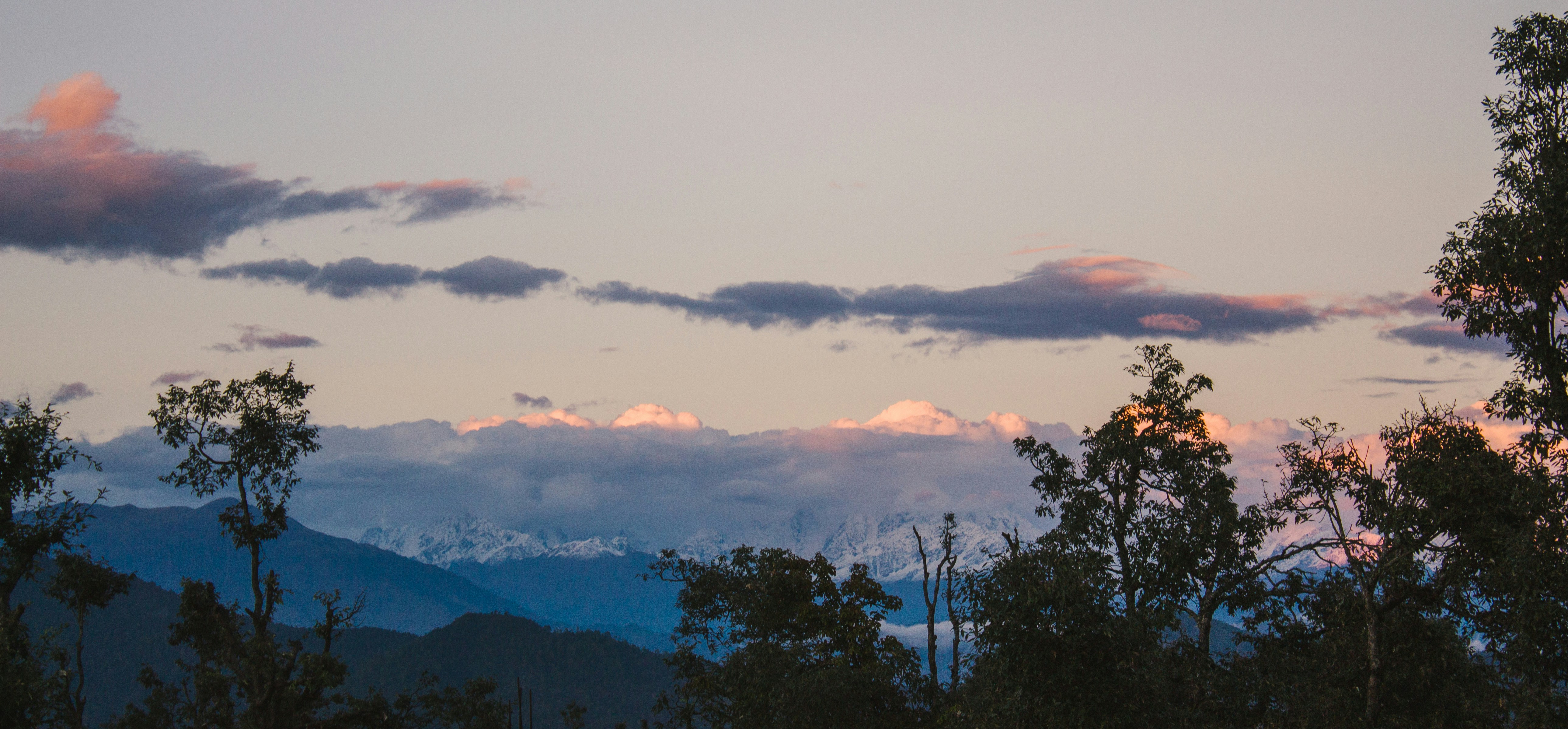 a group of trees with mountains in the background, Mountain Viewpoints, Chaukori, Uttarakhand, India.