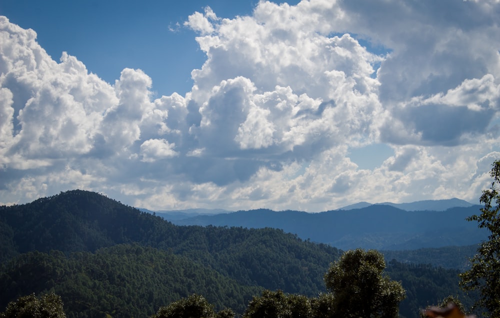 a landscape with trees and mountains