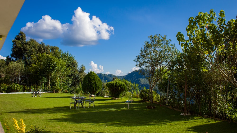 uma área gramada com árvores e uma mesa nela