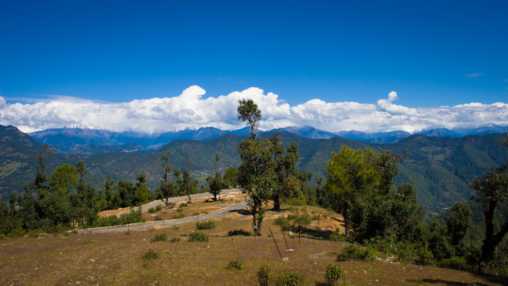 uma paisagem com árvores e montanhas ao fundo