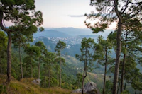 Best Co-Working Spaces in Almora for Remote Workers and Freelancers