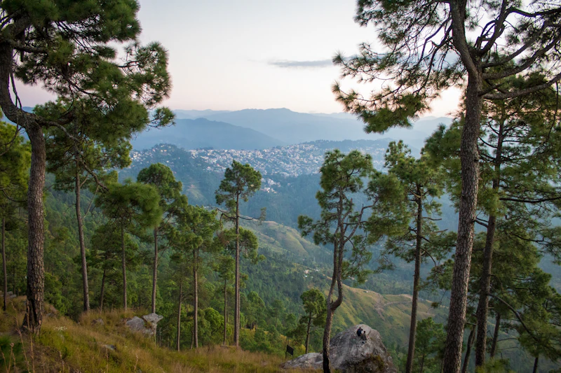 Best Co-Working Spaces in Almora for Remote Workers and Freelancers