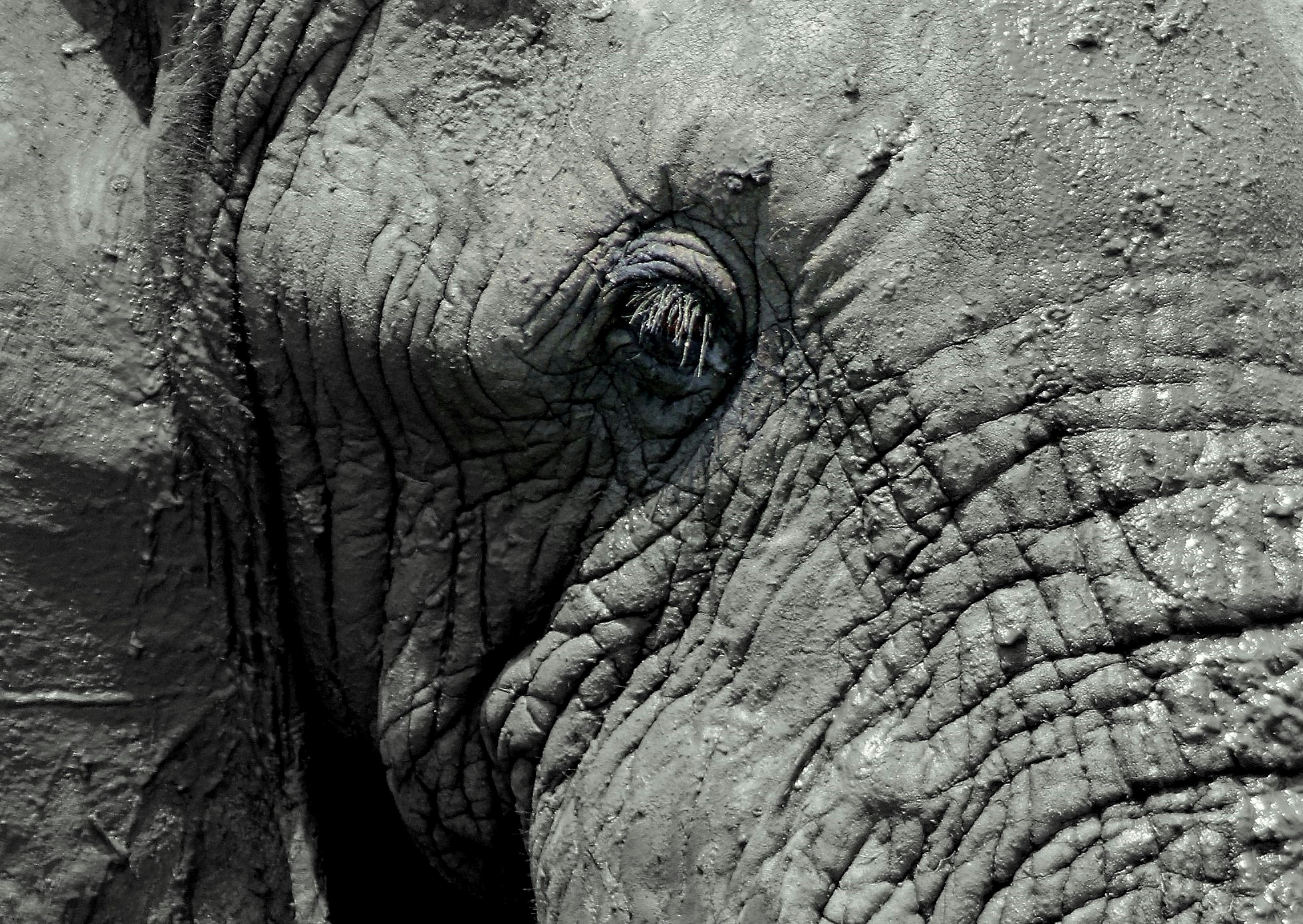 Photo by craigmanners_com