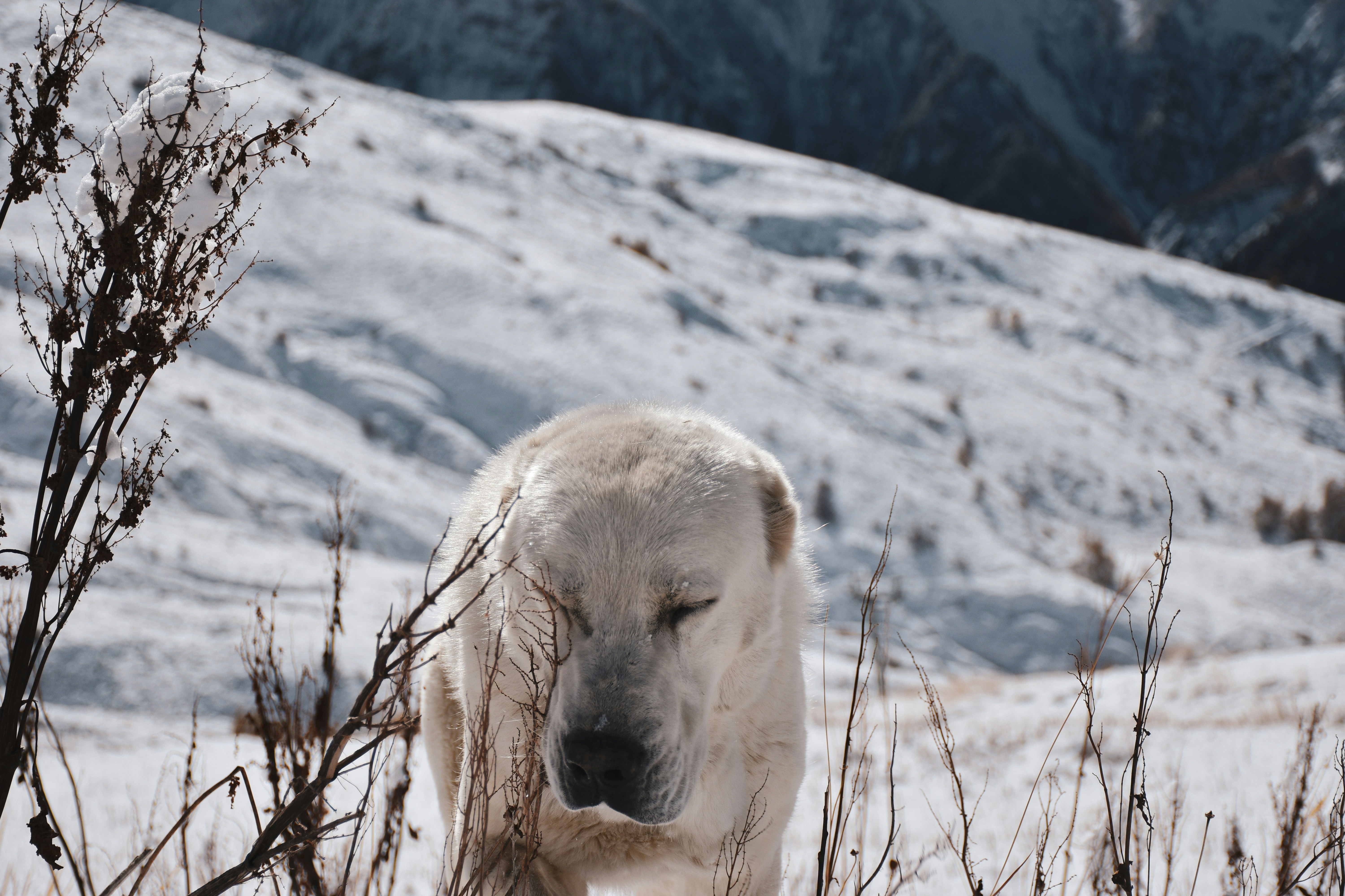 Photo by artem_makarov