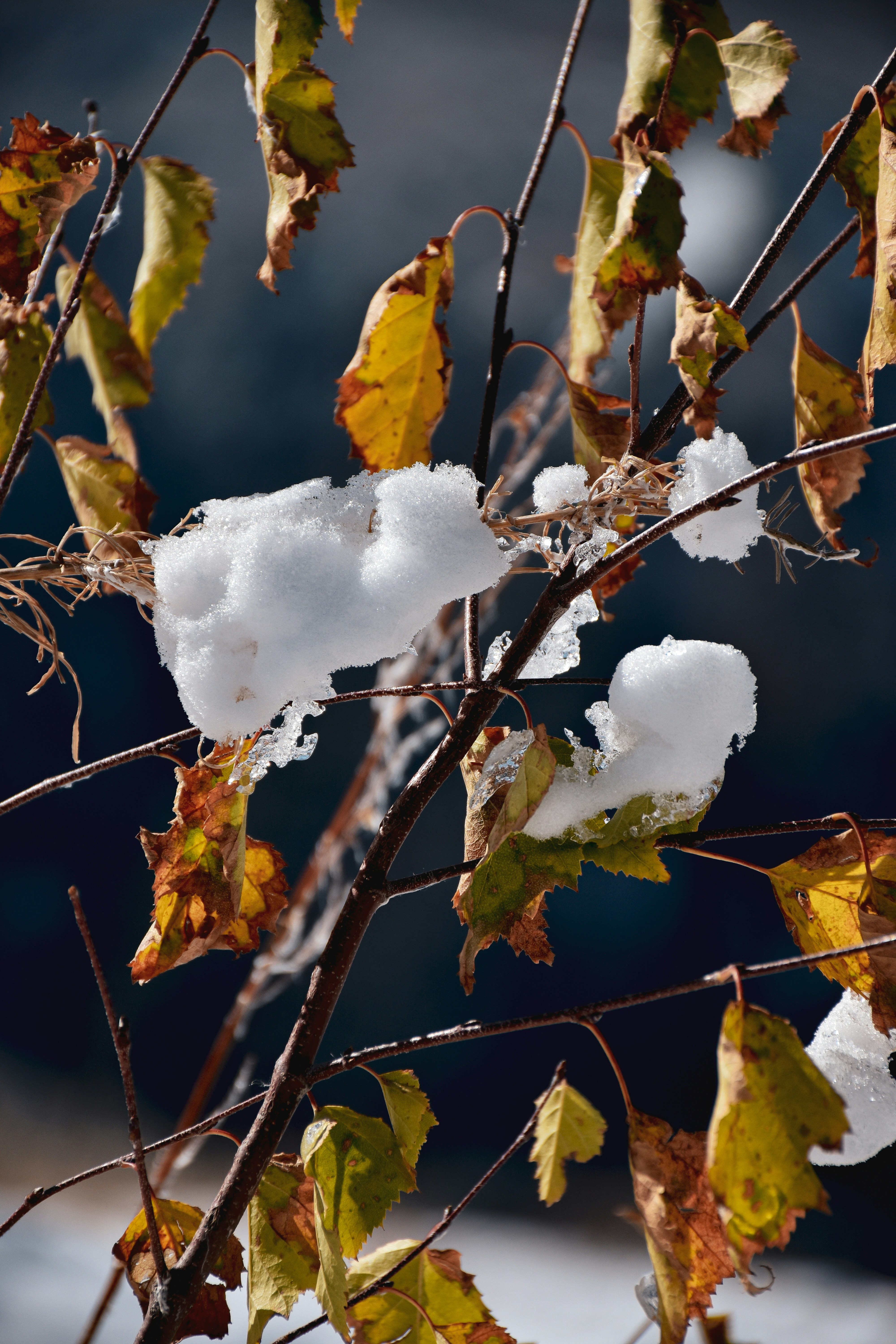 Photo by artem_makarov