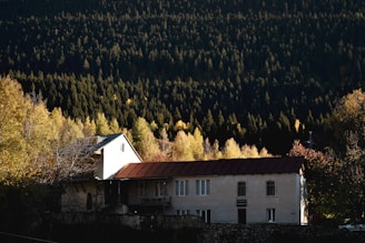 A house with a red roof is situated in the foreground, surrounded by autumn-colored trees and a dense forest. The sunlight casts a warm glow on the trees, highlighting the contrast between the light and shadow.