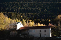 Best Pubs in Mestia: Where Locals Actually Drink