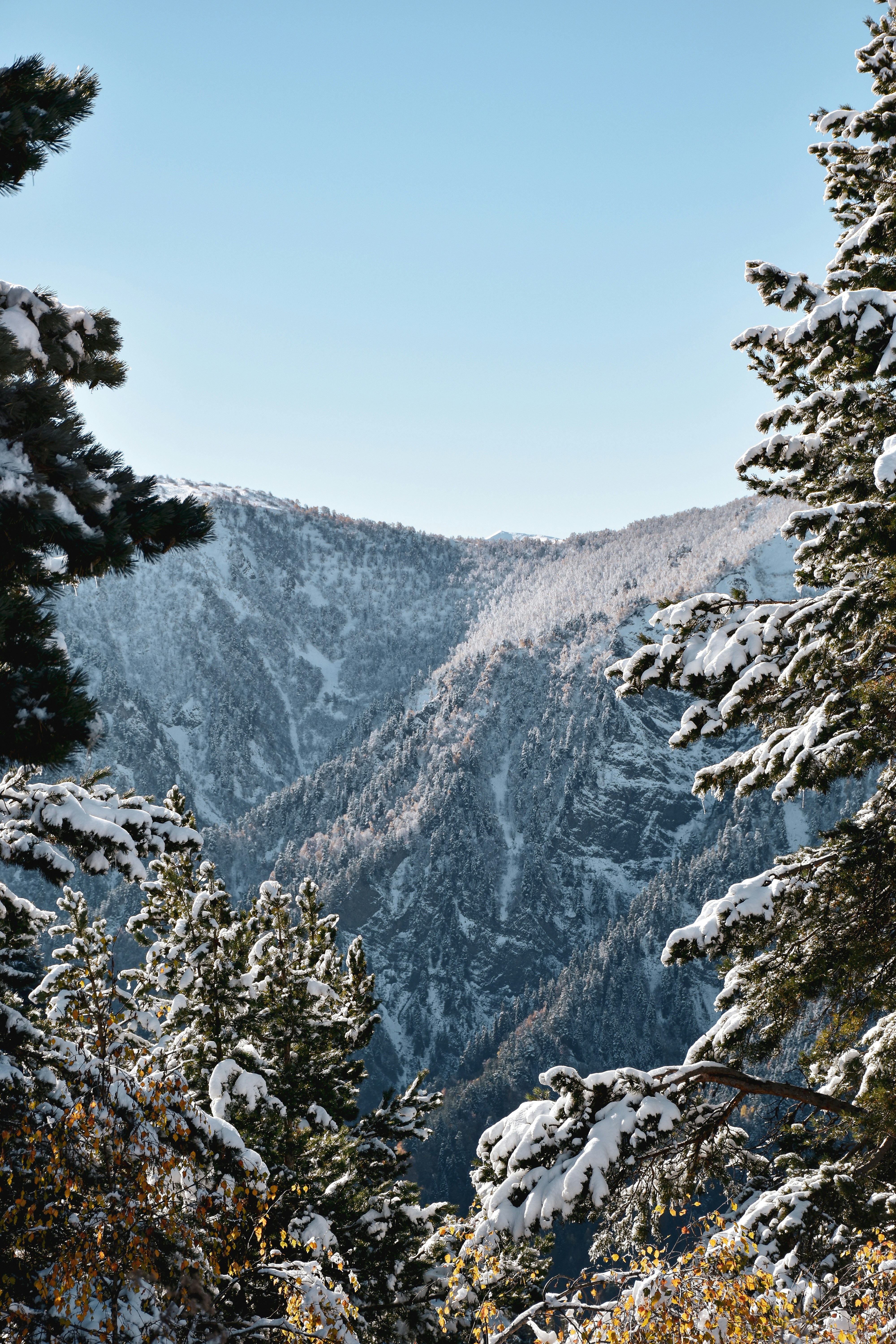 Photo by artem_makarov