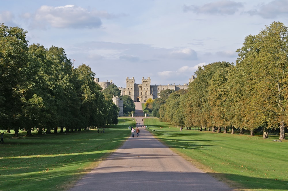 a path with grass and trees on the side and a castle in the background