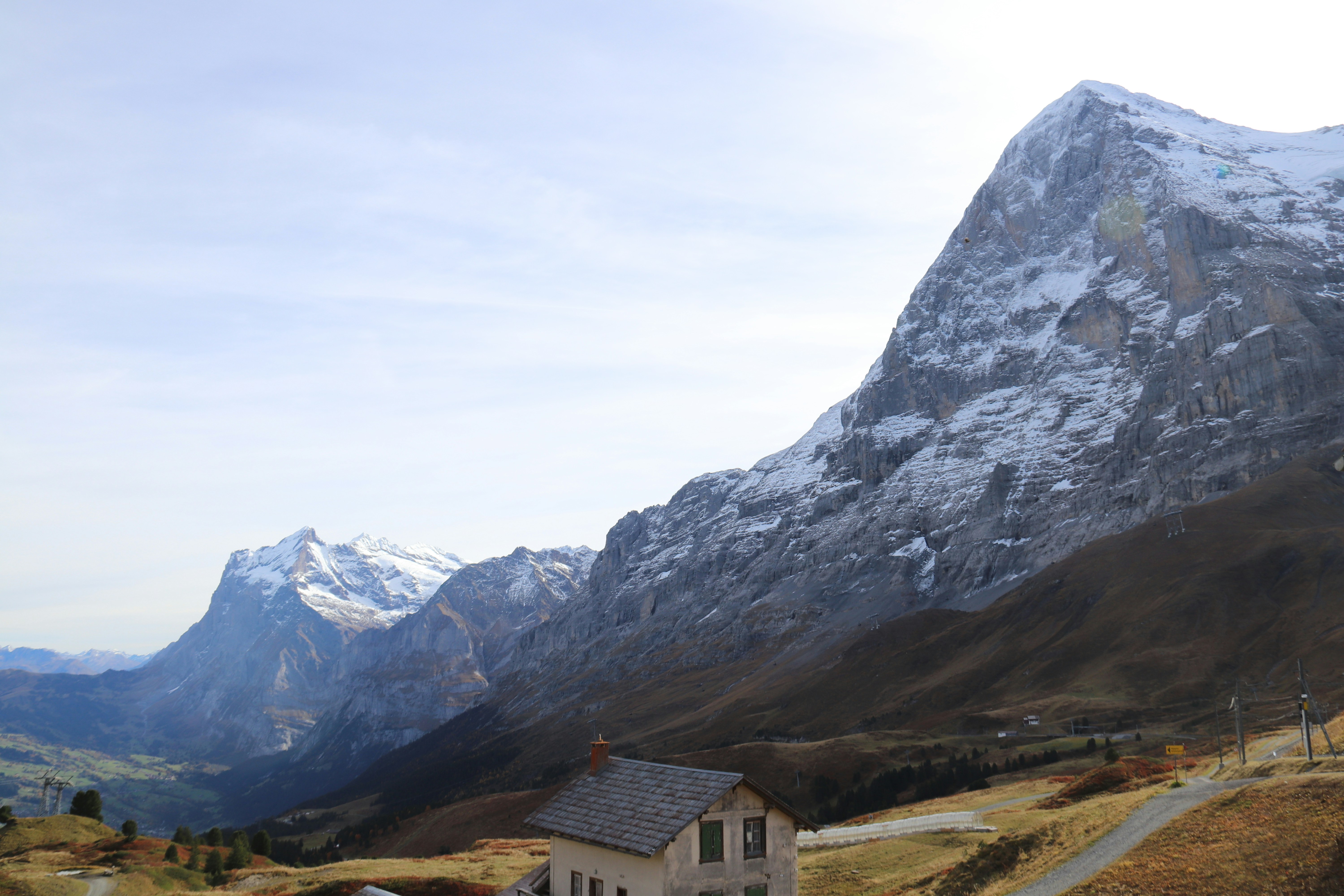 Photo by shalevcohen