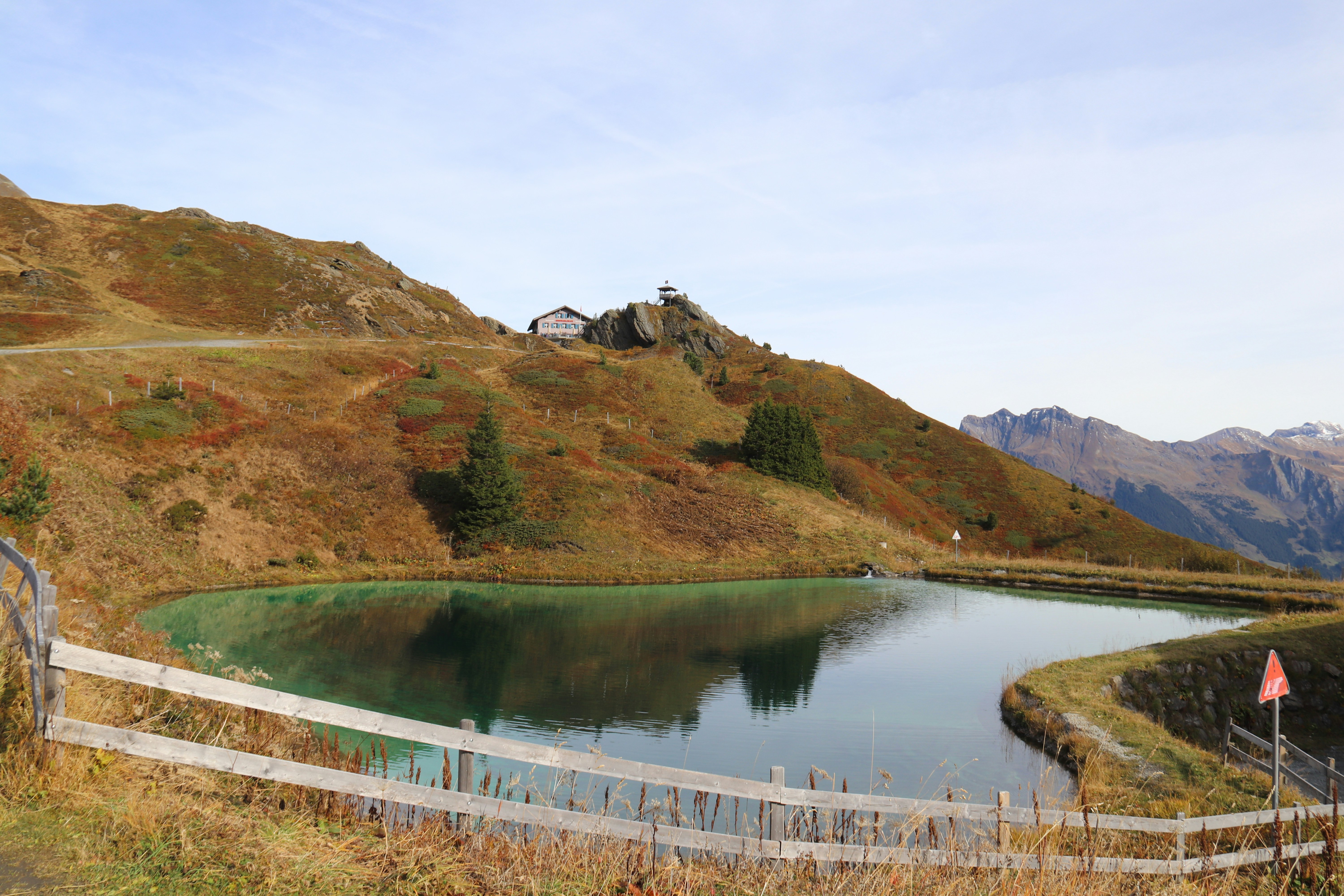 Photo by shalevcohen