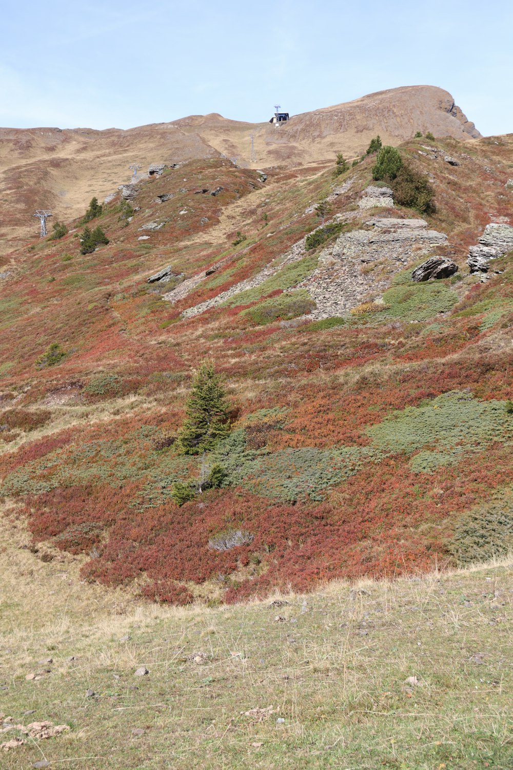 a person riding a bike on a hill