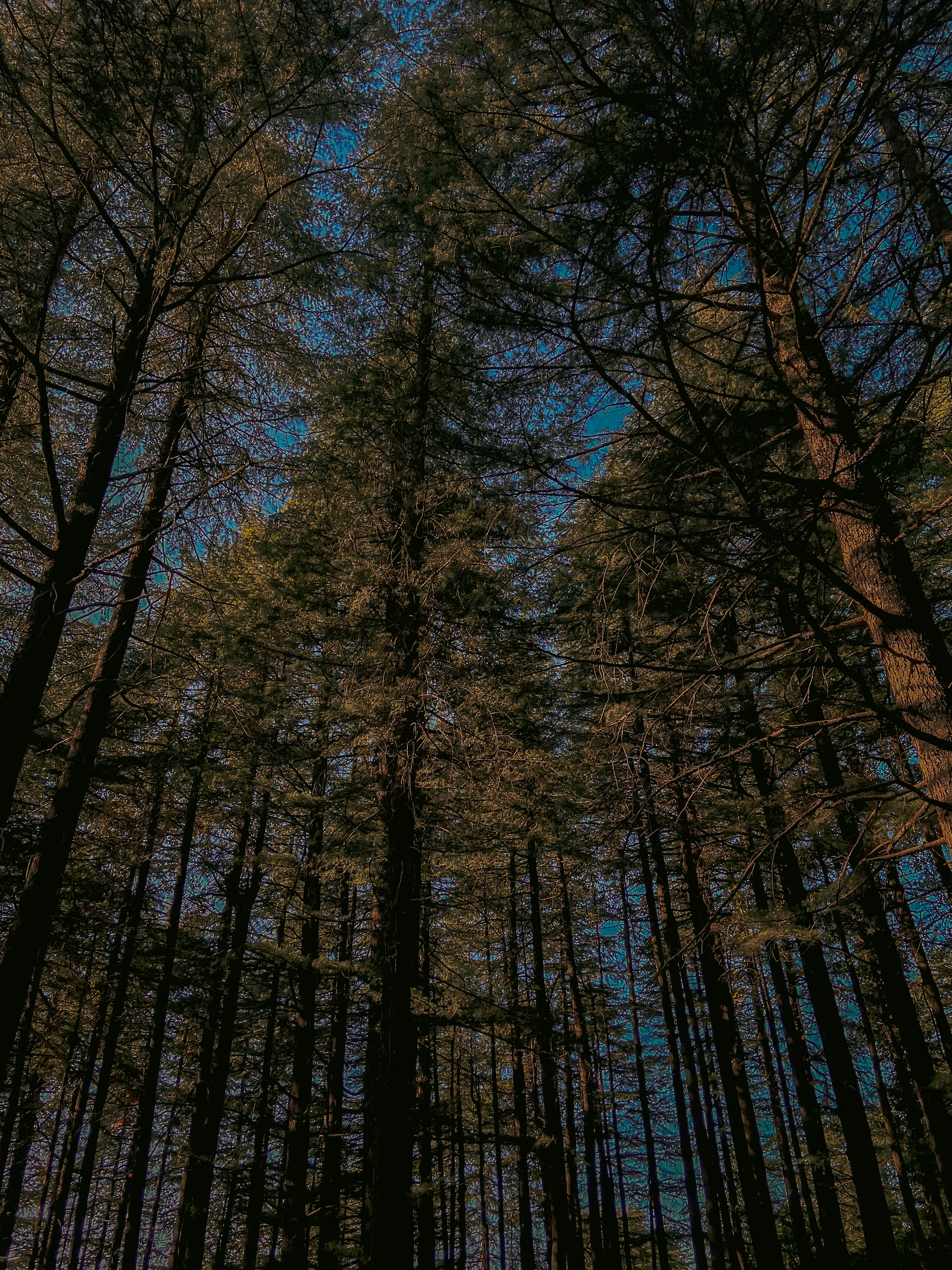 Photo by maverick_99