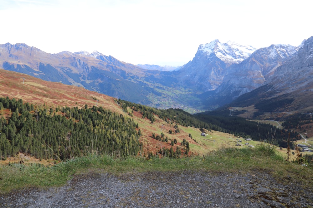 a landscape with mountains and trees