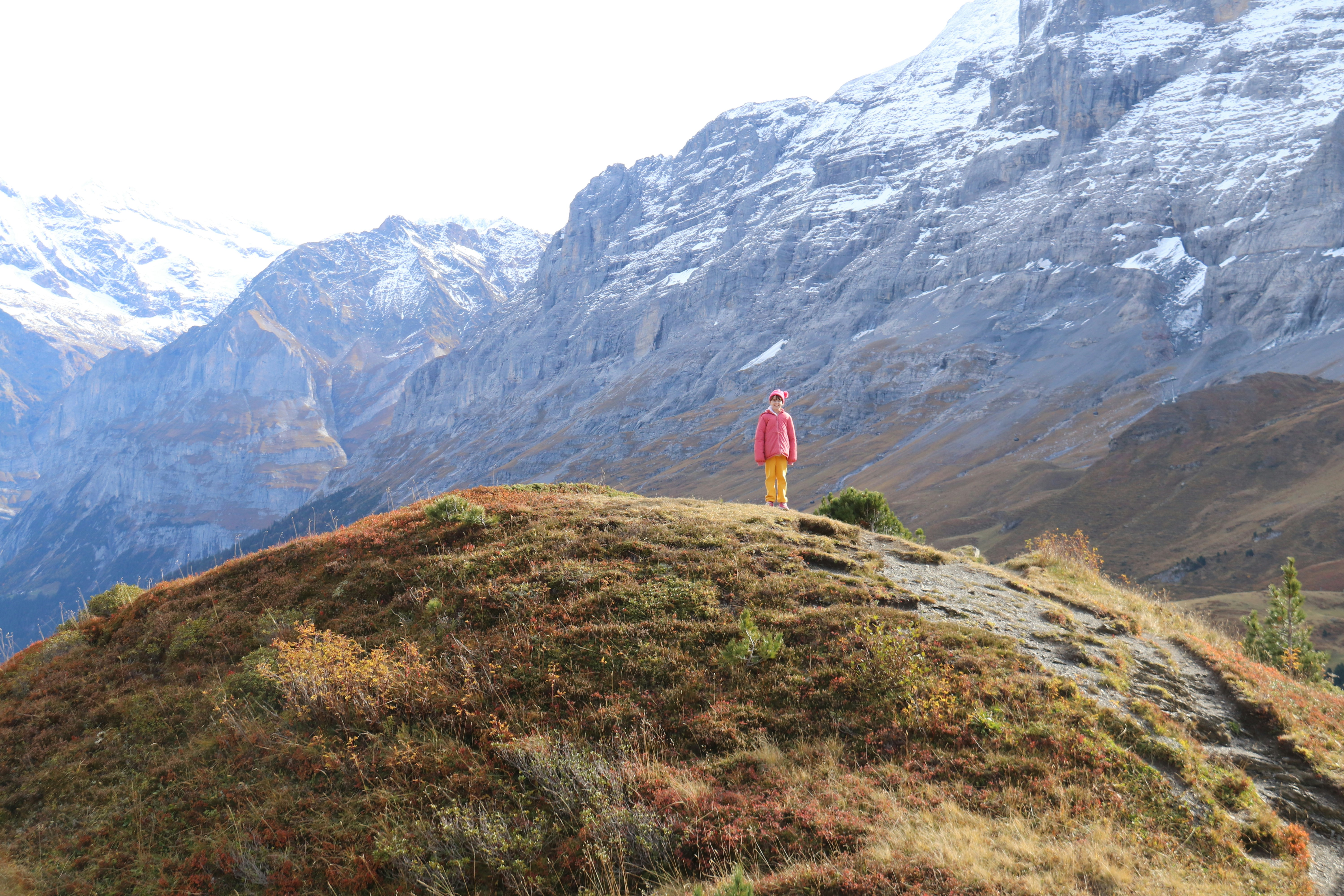 Photo by shalevcohen