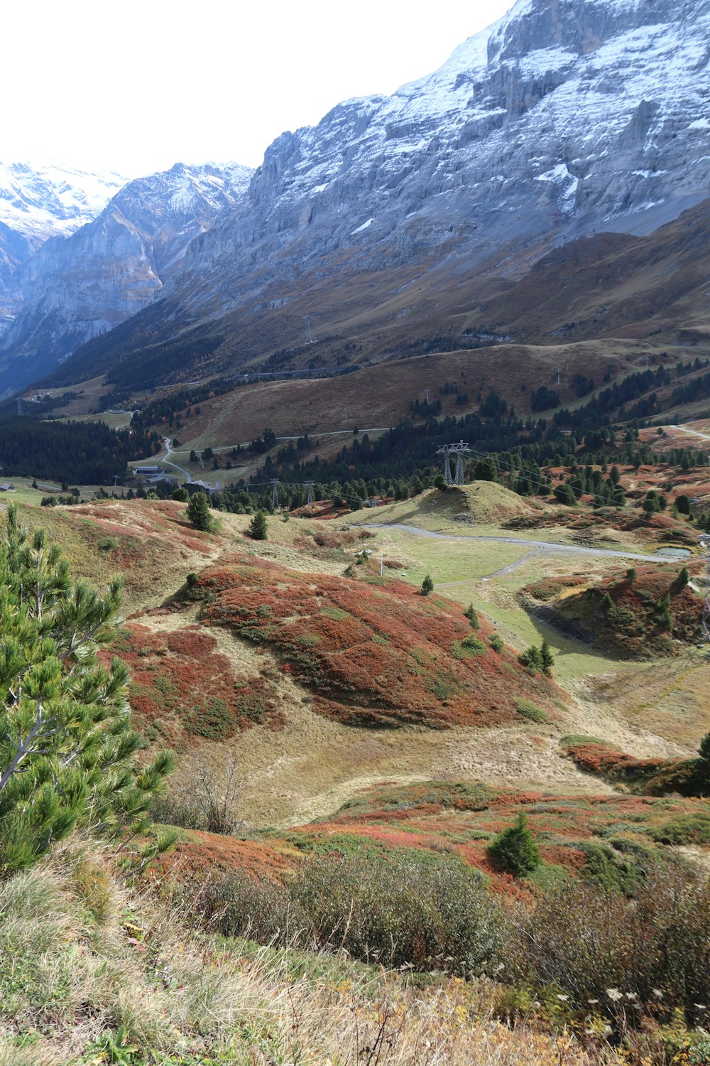 a valley between mountains