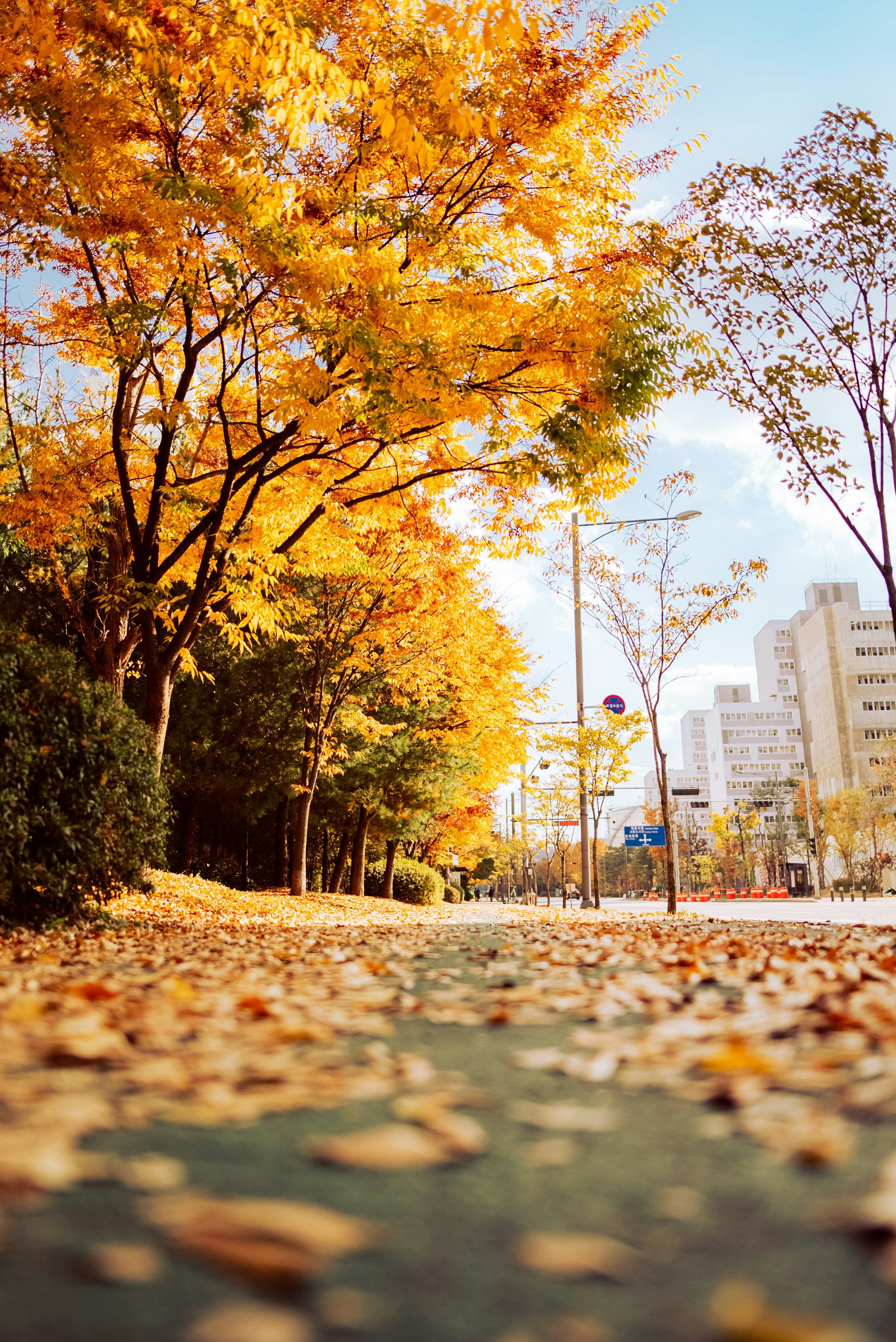 Photo by wonderkim