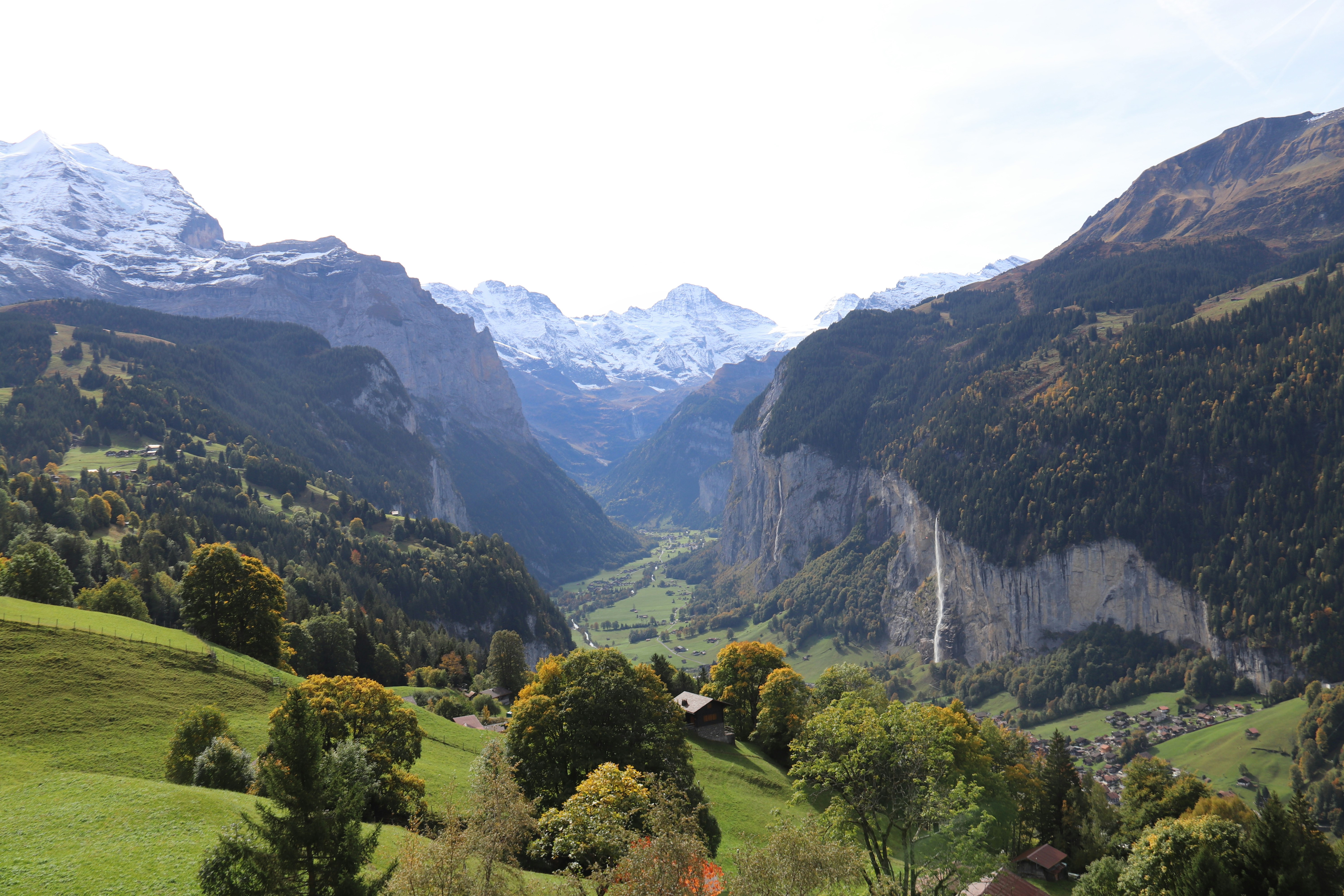 Photo by shalevcohen