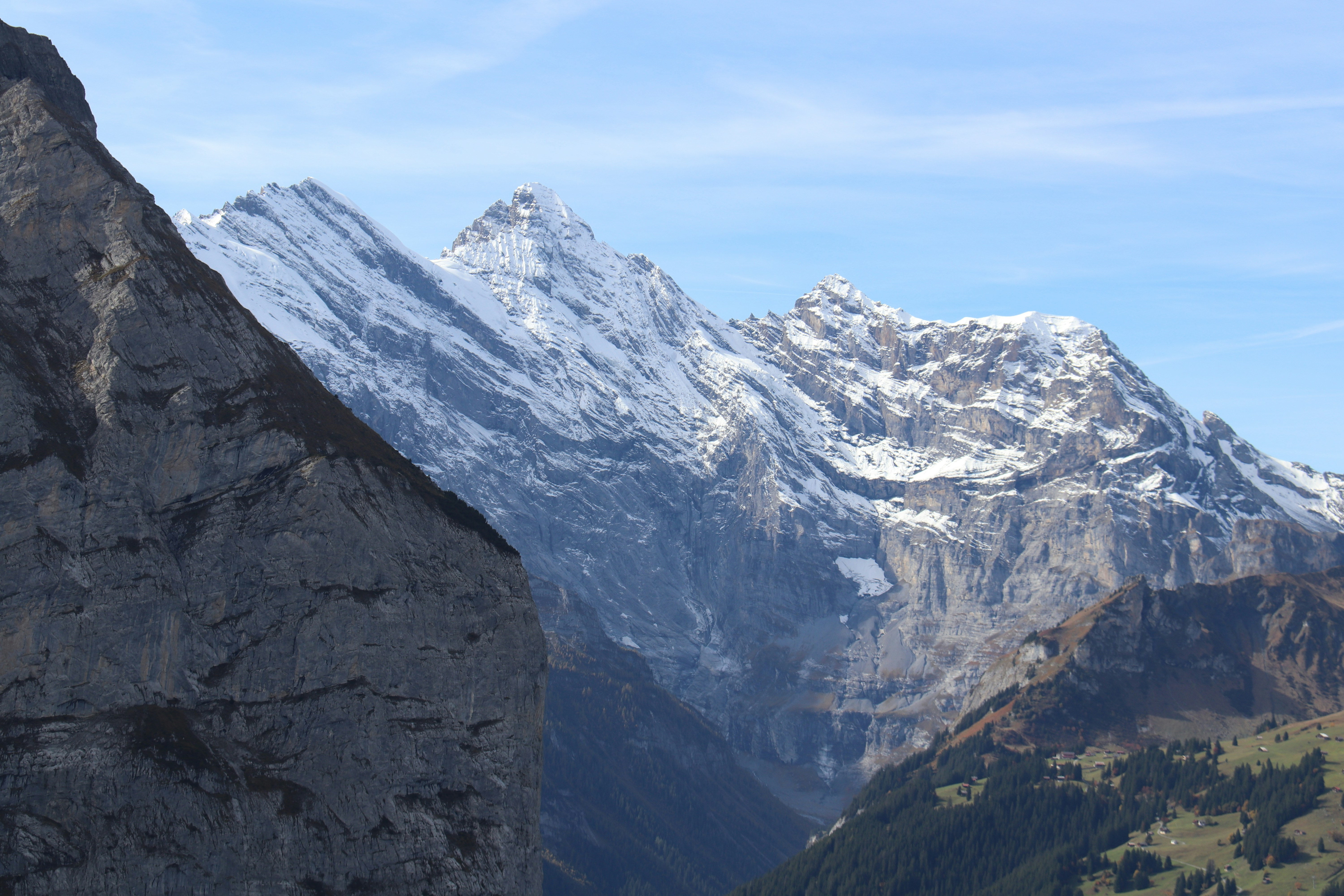 Photo by shalevcohen