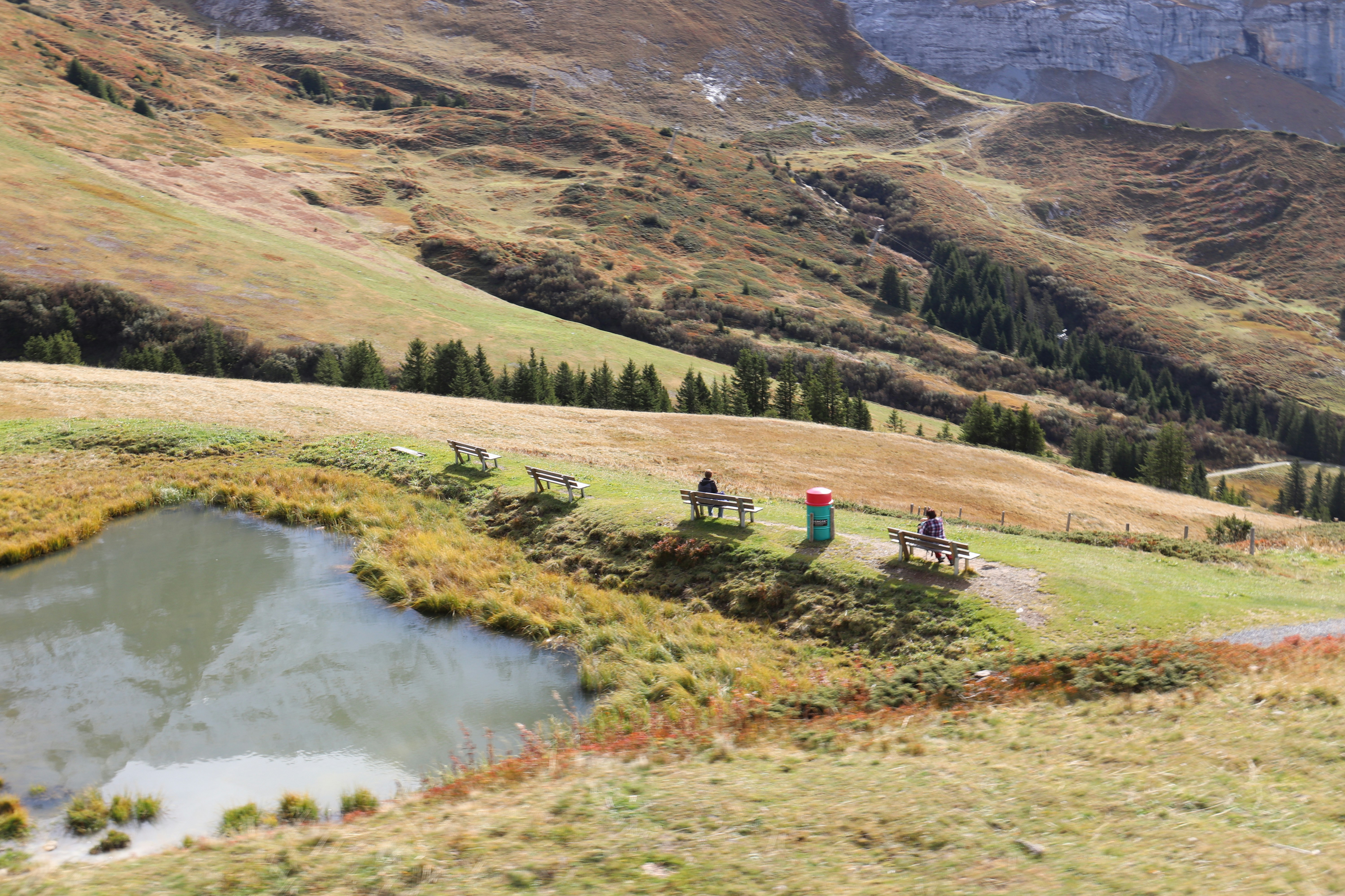 Photo by shalevcohen