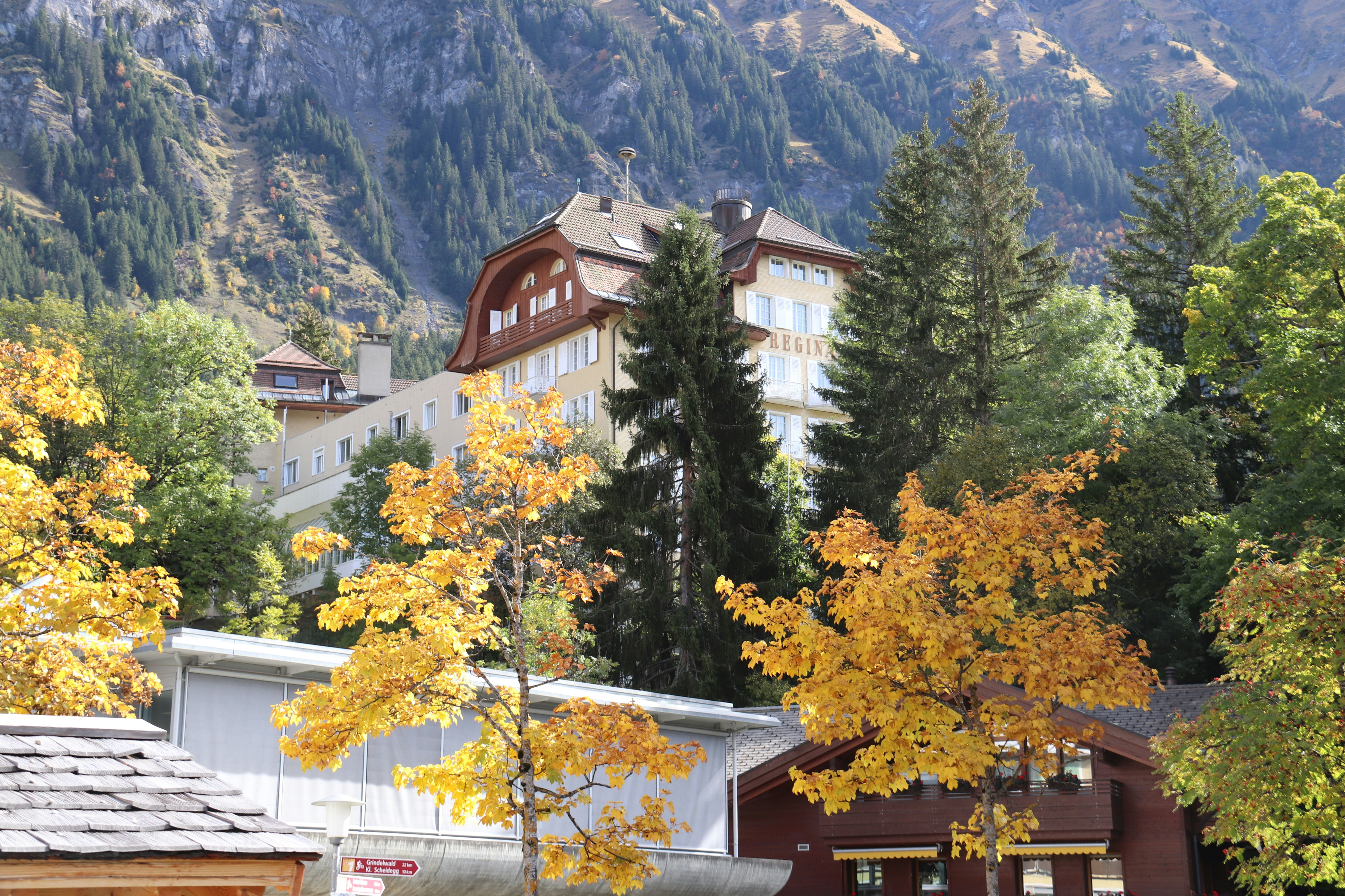 Wiesen Village