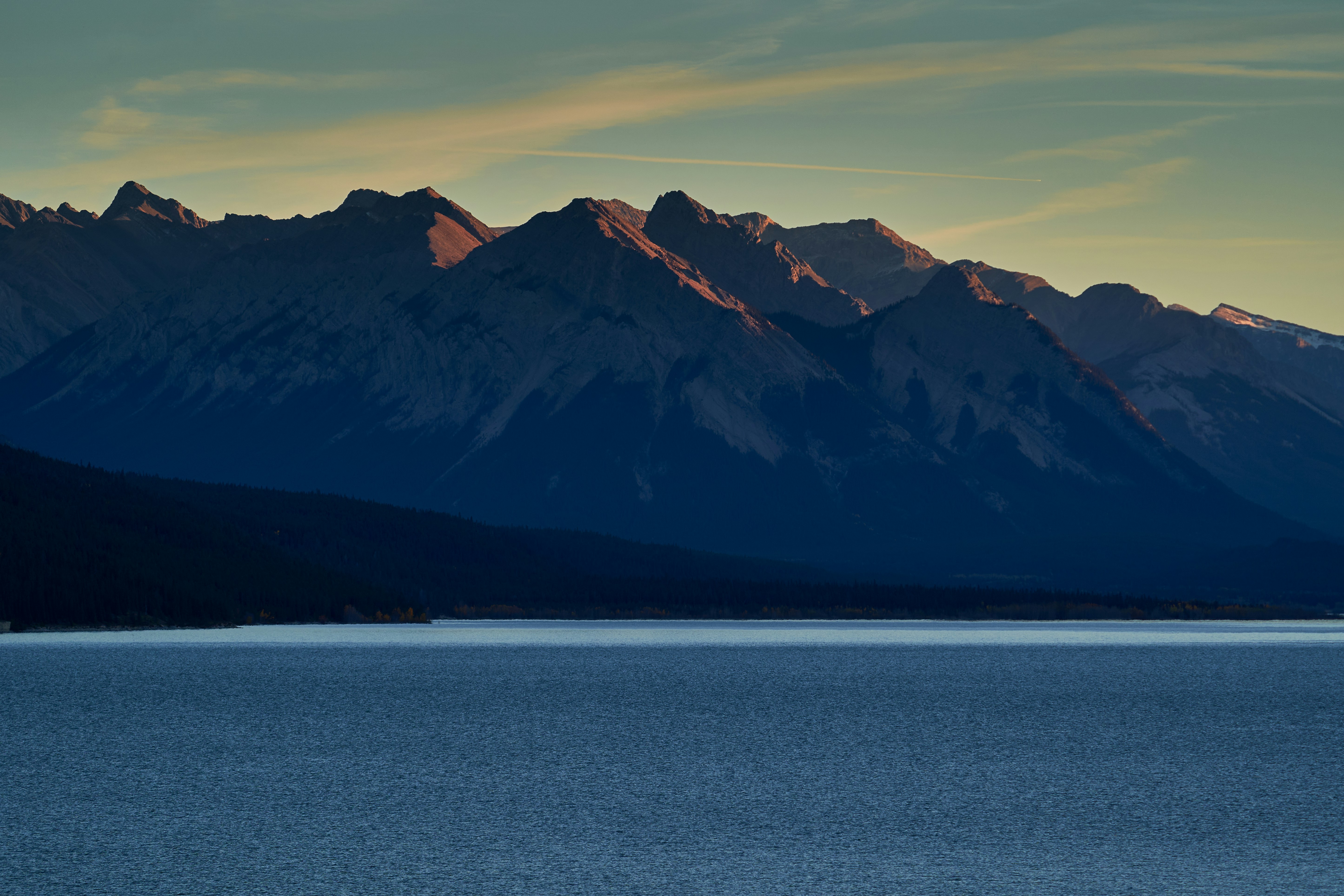 Photo by suicide_chewbacca