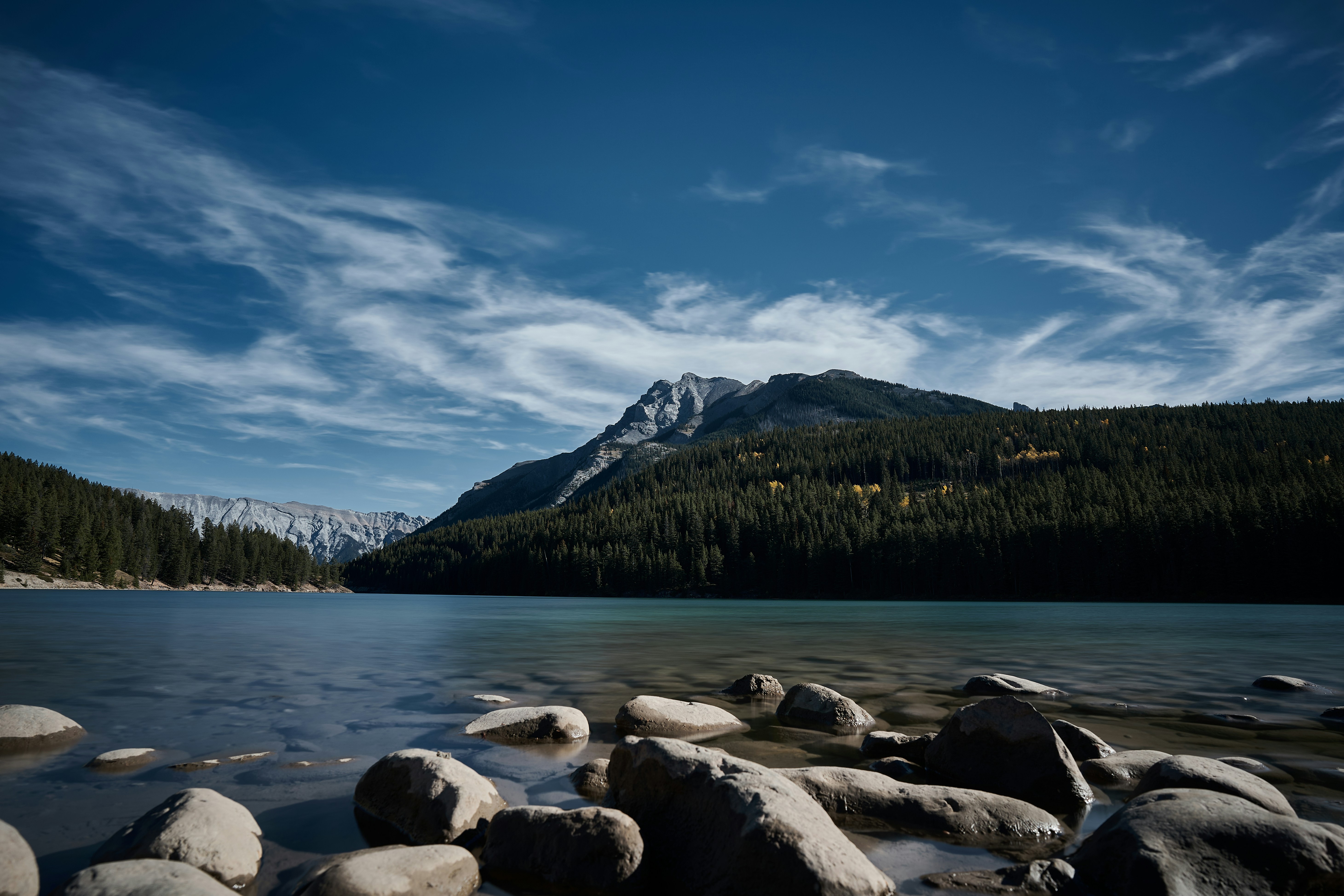 Photo by suicide_chewbacca