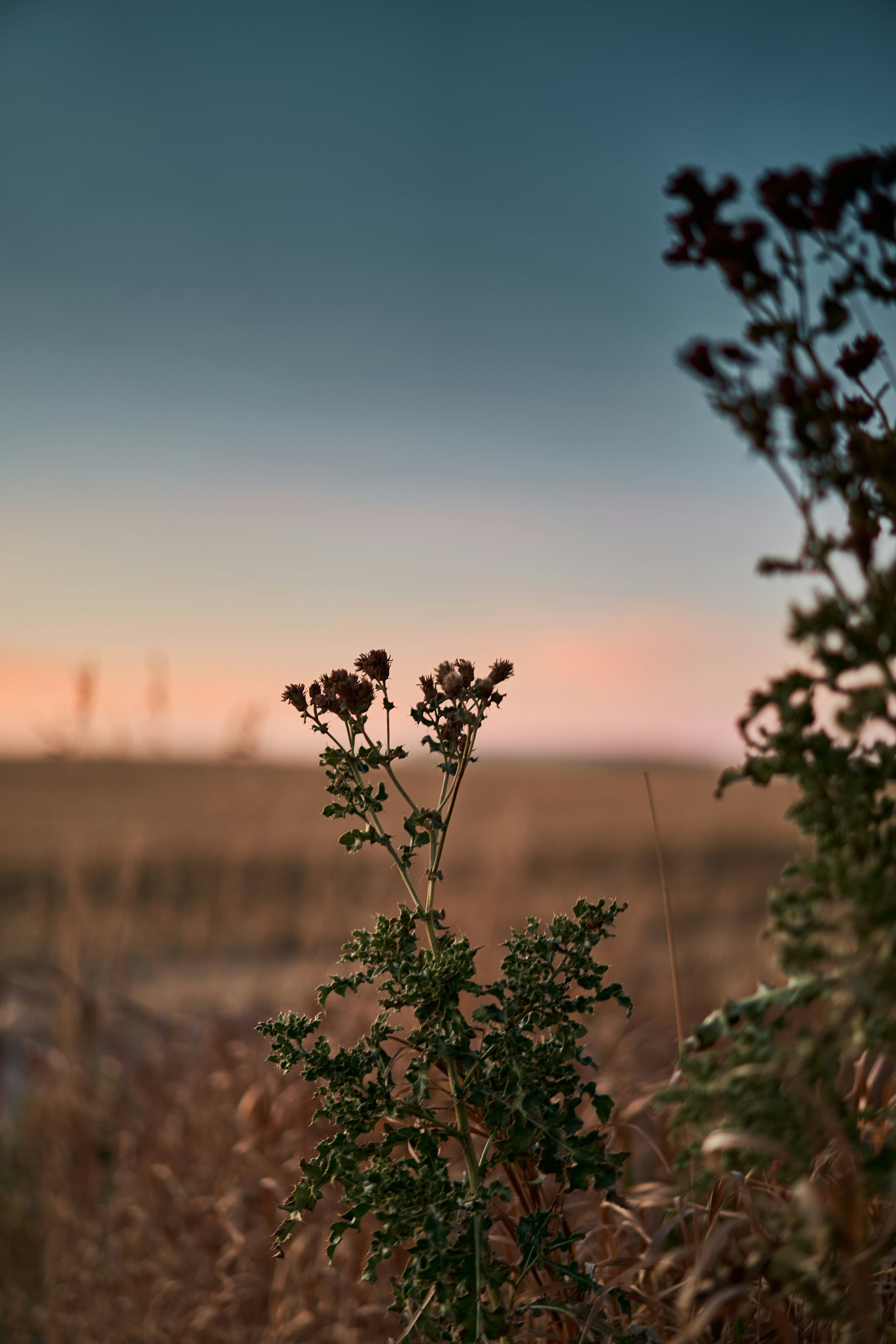 Photo by suicide_chewbacca