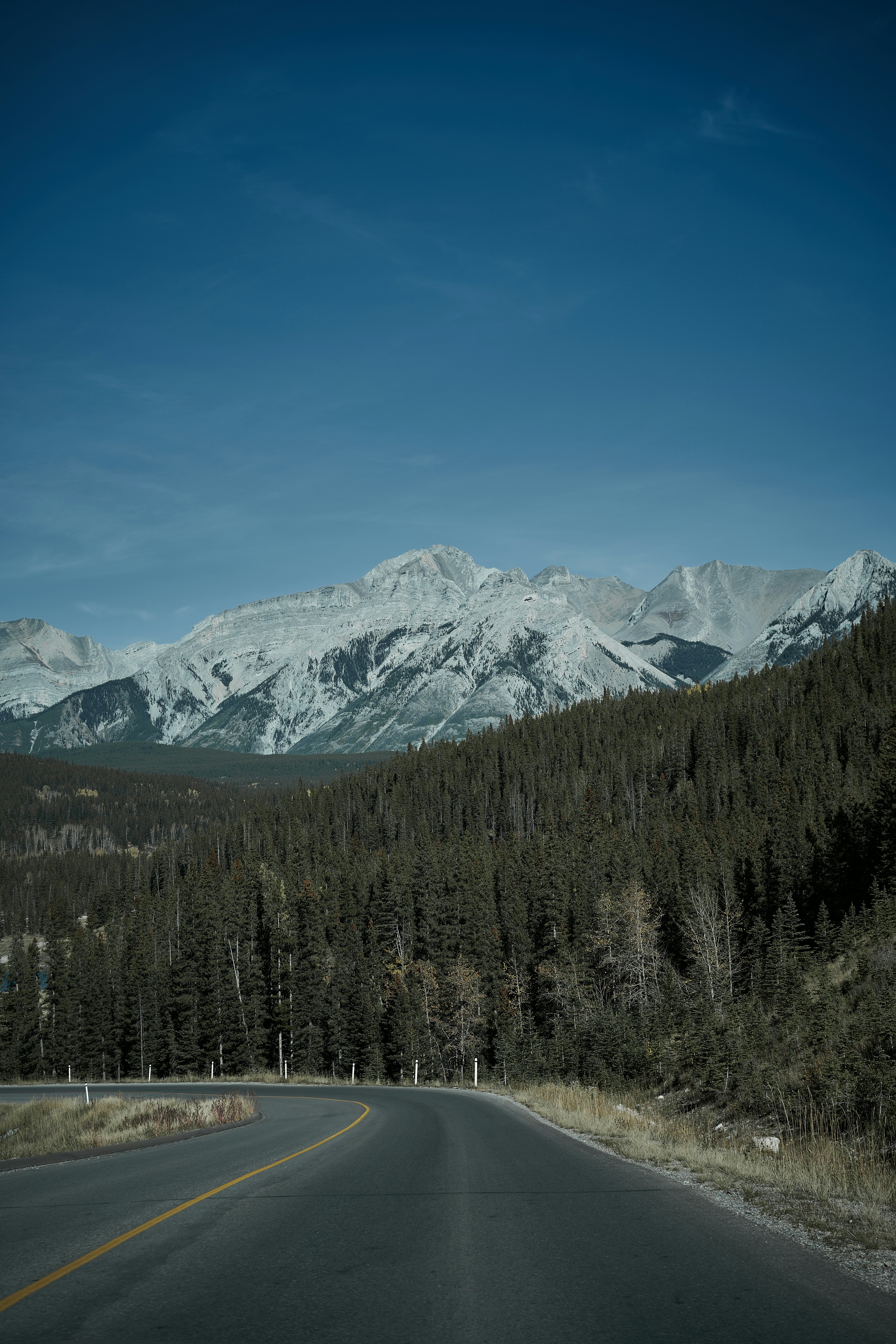 Photo by suicide_chewbacca