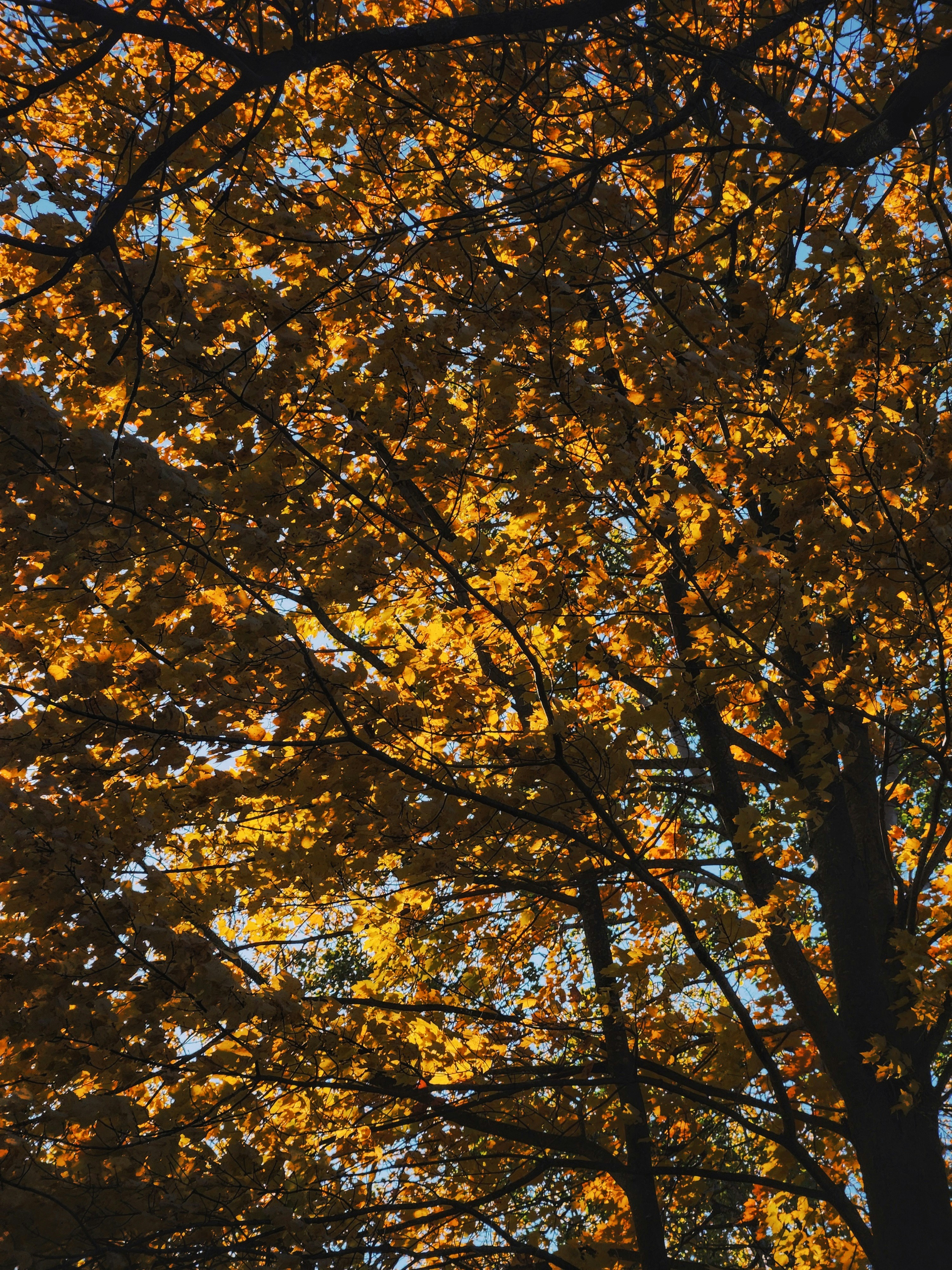 Photo by philcreates