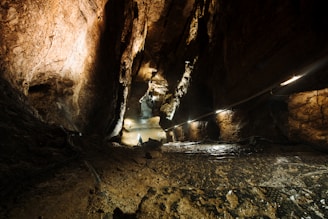 A natural cave with rugged rock formations and a dimly lit pathway, illuminated by overhead lights installed along the cave walls. The cave extends into the distance with a narrow stream reflecting the artificial lighting.