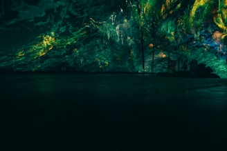 A dimly lit cave with a rocky textured wall illuminated in shades of green and yellow. The surface appears wet or glossy, adding a reflective quality to the rocks. A metal railing runs along part of the cave's interior.
