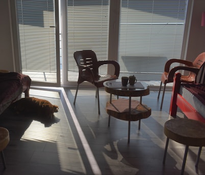 A sunlit corner of a cozy living room with soft blankets and a steaming mug on a wooden side table.