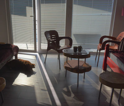Cozy living room with elderly people enjoying a sunny afternoon together.