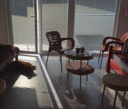 A cozy living room with sunlight streaming through large windows, featuring comfortable seating and soft blankets.