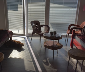 Sunlit living room with comfortable chairs and soft blankets.