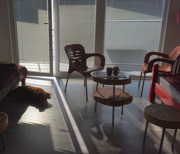 Cozy shared living room with elderly residents enjoying a sunny afternoon together.