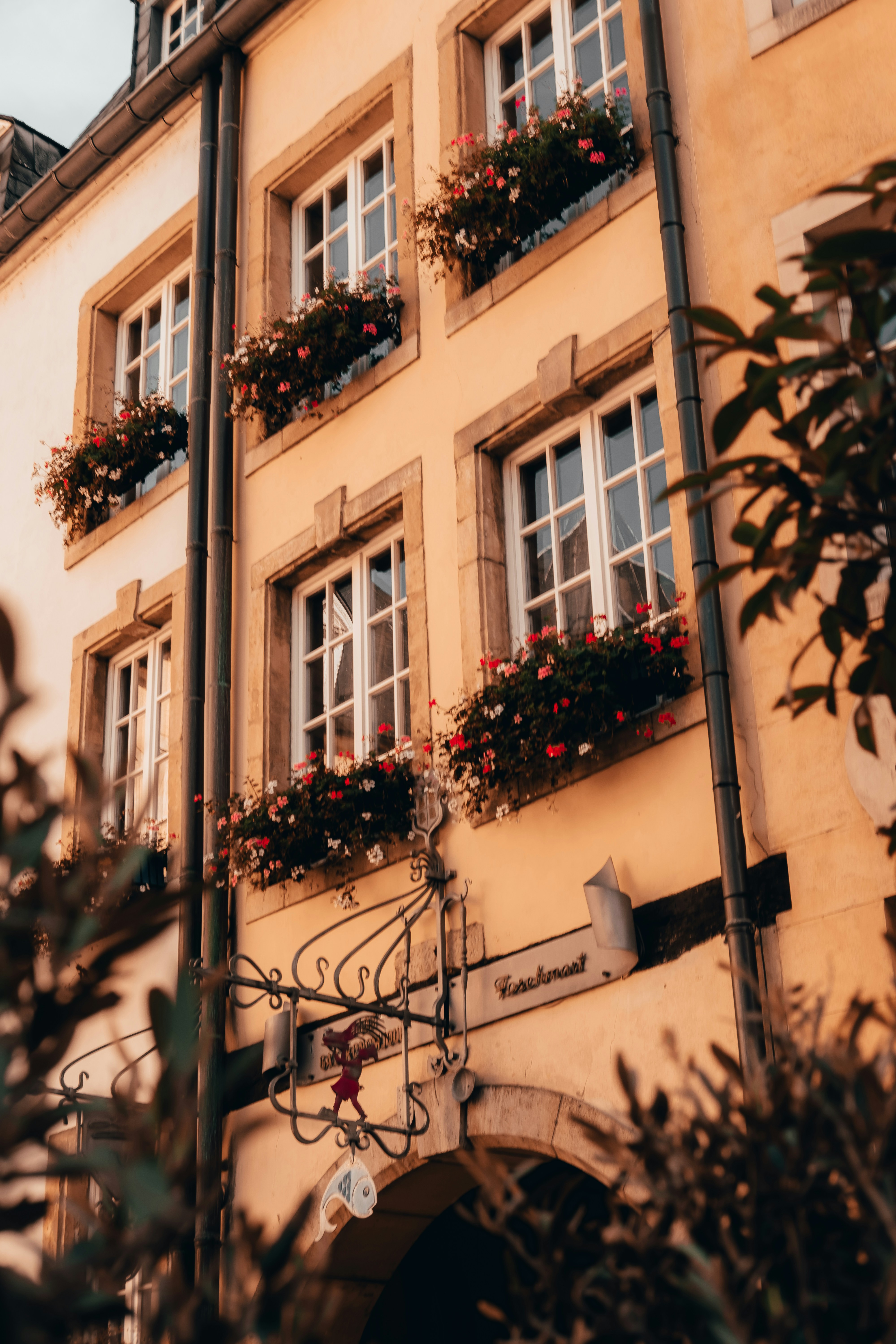 Photo by k_sariwating