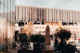 An urban outdoor setting featuring a modern building with large, dark reflective windows in the background. In the foreground, there are potted plants and outdoor seating which includes tables and chairs. Natural elements such as small trees and shrubs add greenery to the area. An umbrella with stripes is closed and positioned among the seating.