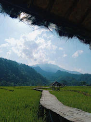 A serene Asian landscape with winding paths and vibrant local markets.